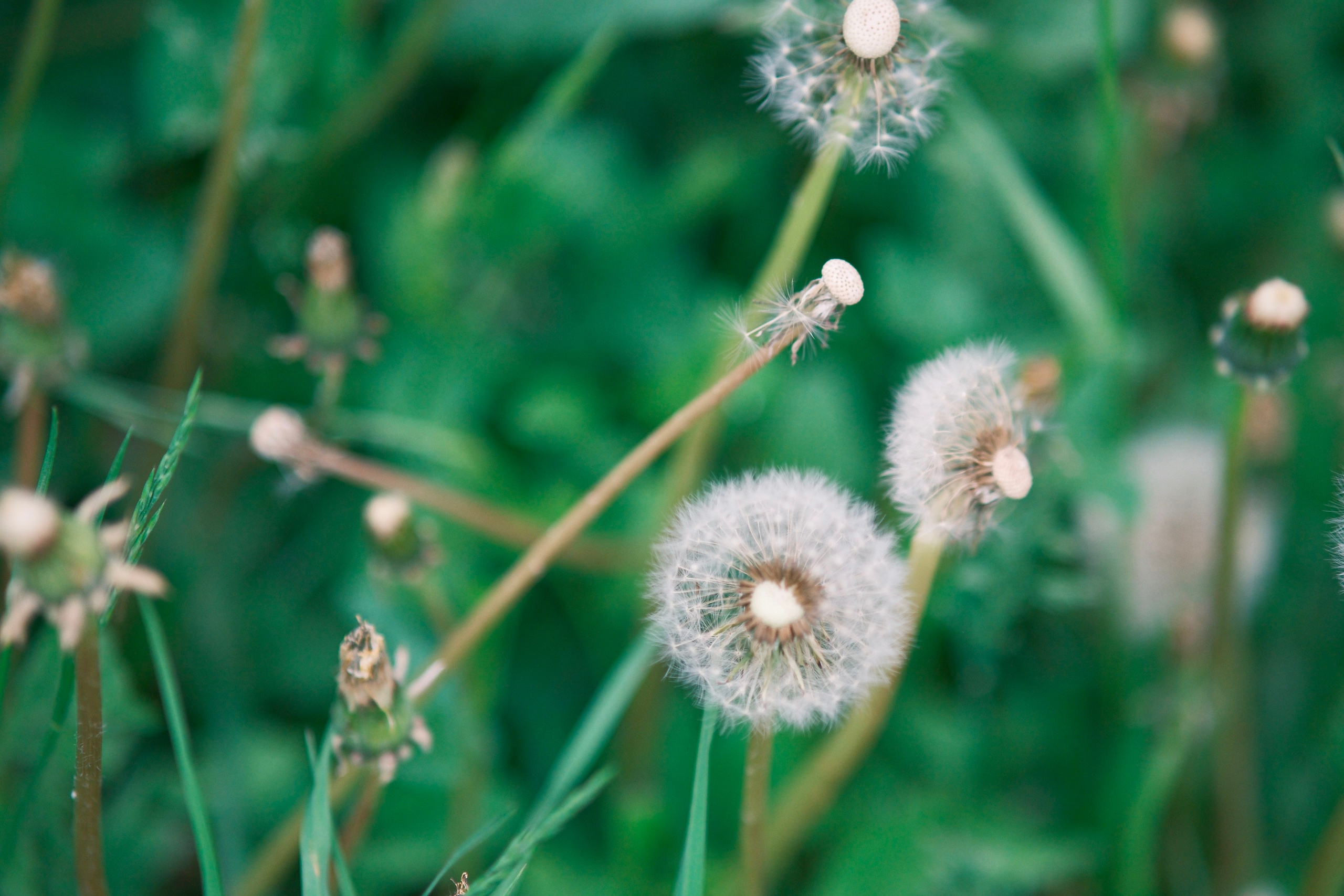 Фотограф Москва. Фотограф и художник в Москве Евгения Нюнина