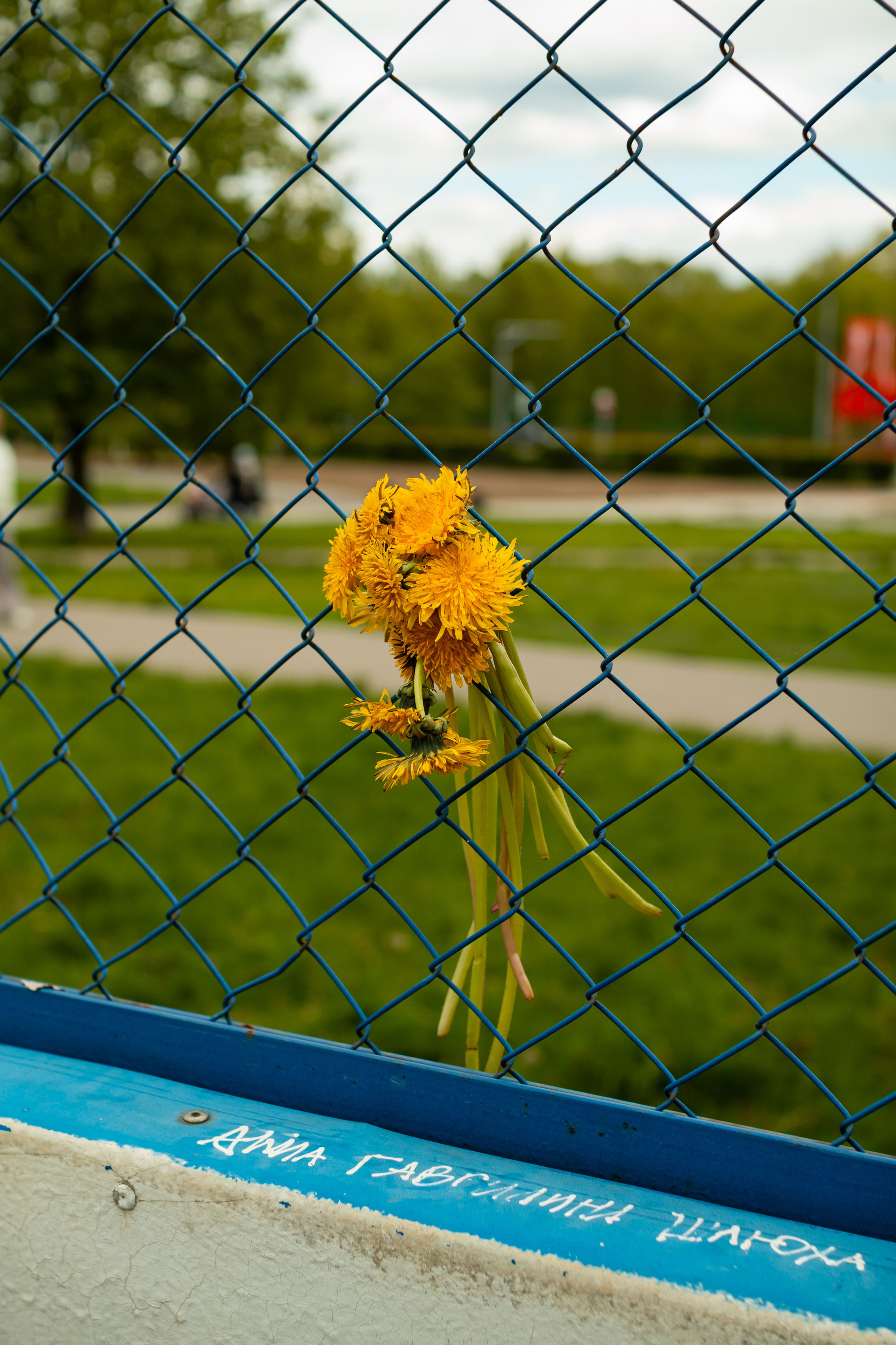 Репортаж с 9 мая 2025 года, День Победы! ВАО Москва. Фотограф Илья Варакин