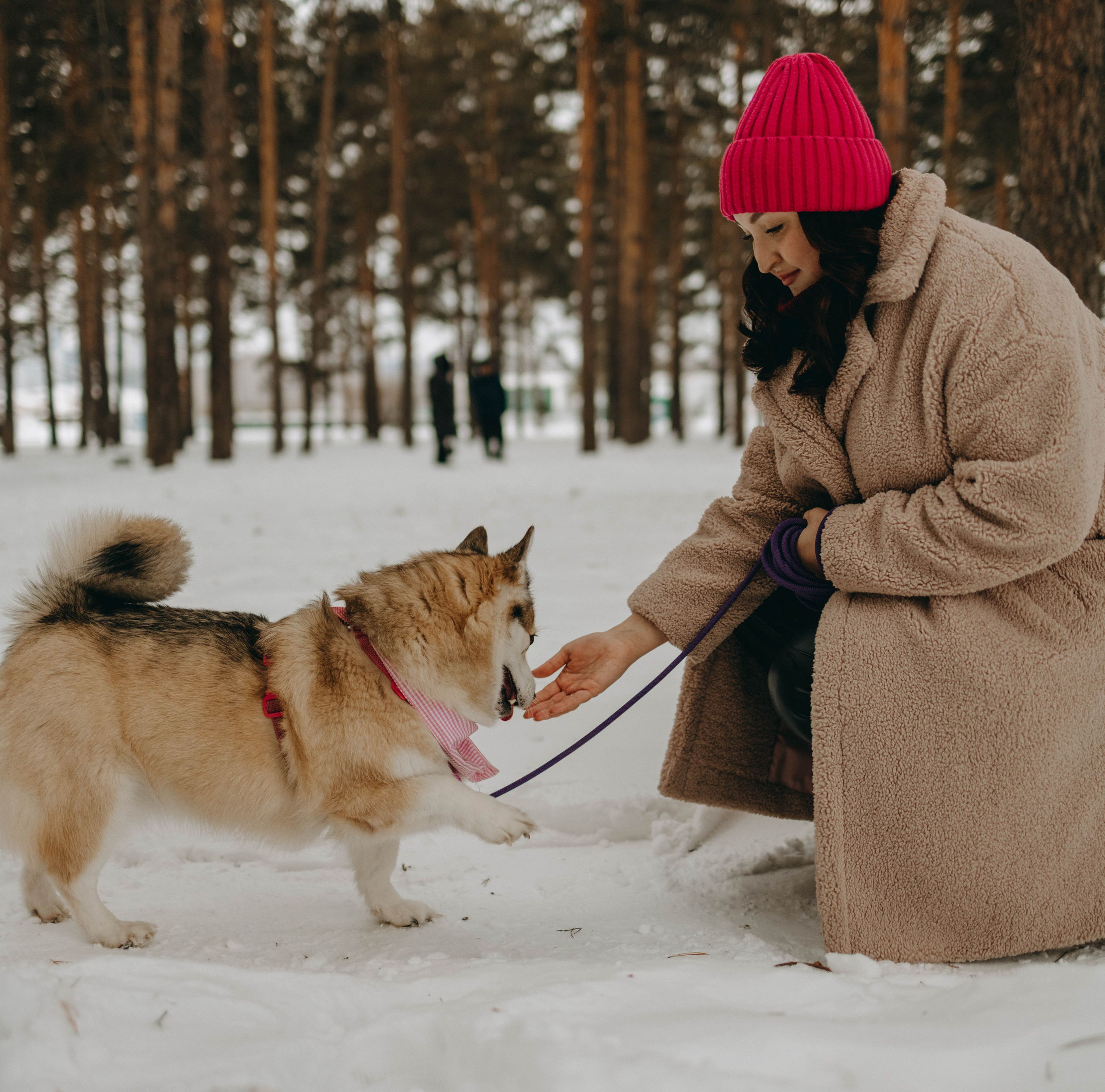 Варвара и Шелби. Фотограф-анималист в Екатеринбурге | Кристина