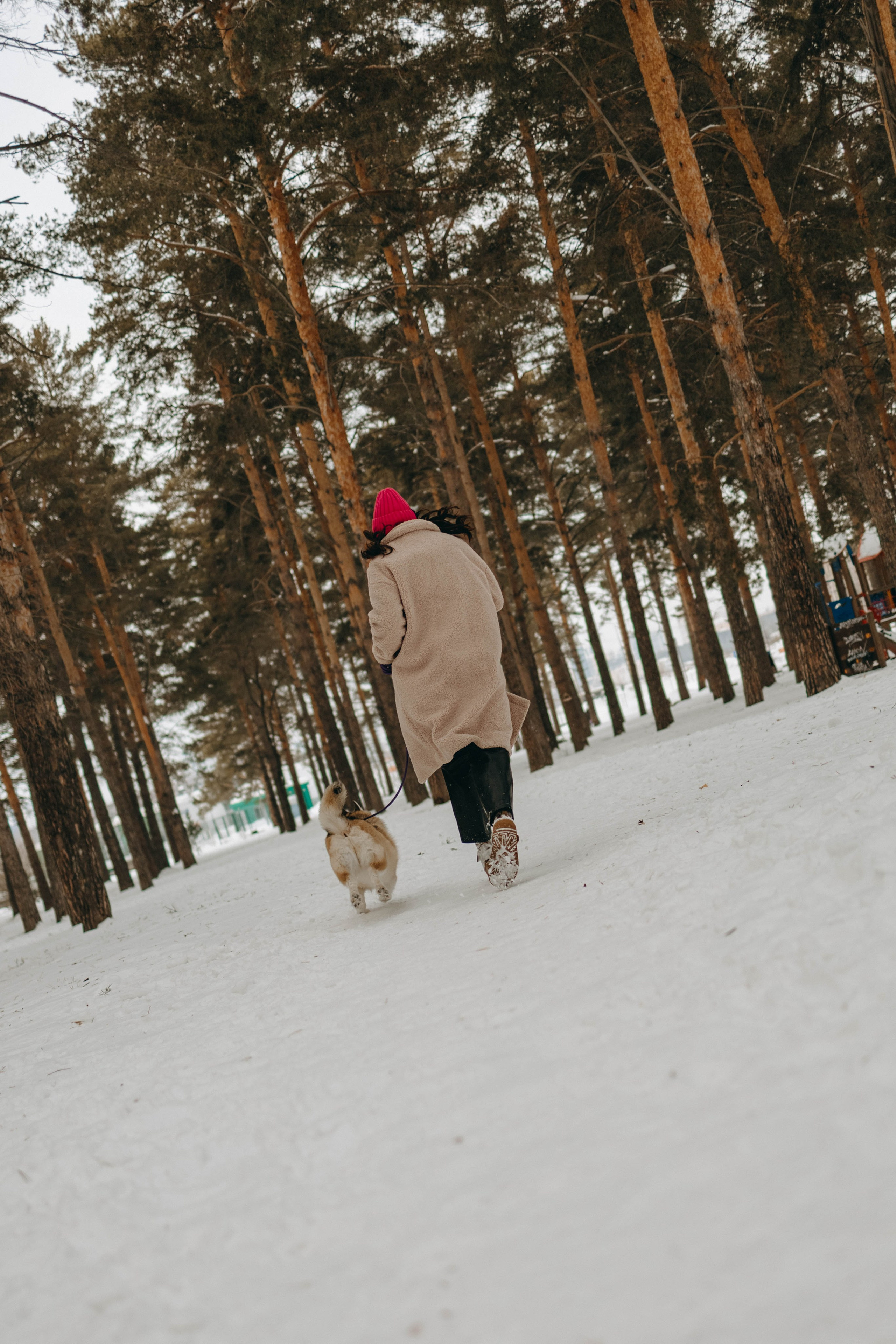 Варвара и Шелби. Фотограф-анималист в Екатеринбурге | Кристина