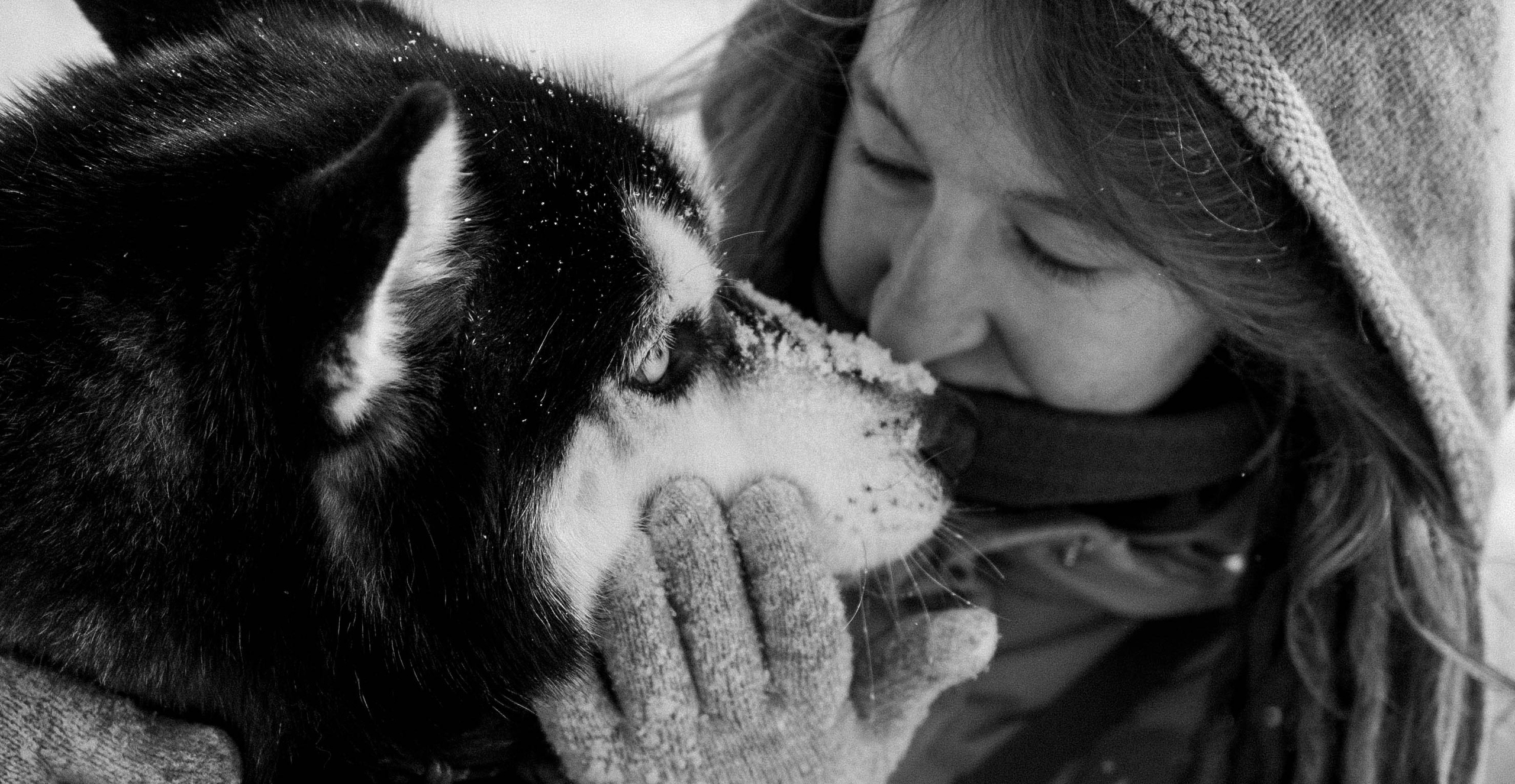 Анна и Вегас. Фотограф-анималист в Екатеринбурге | Кристина