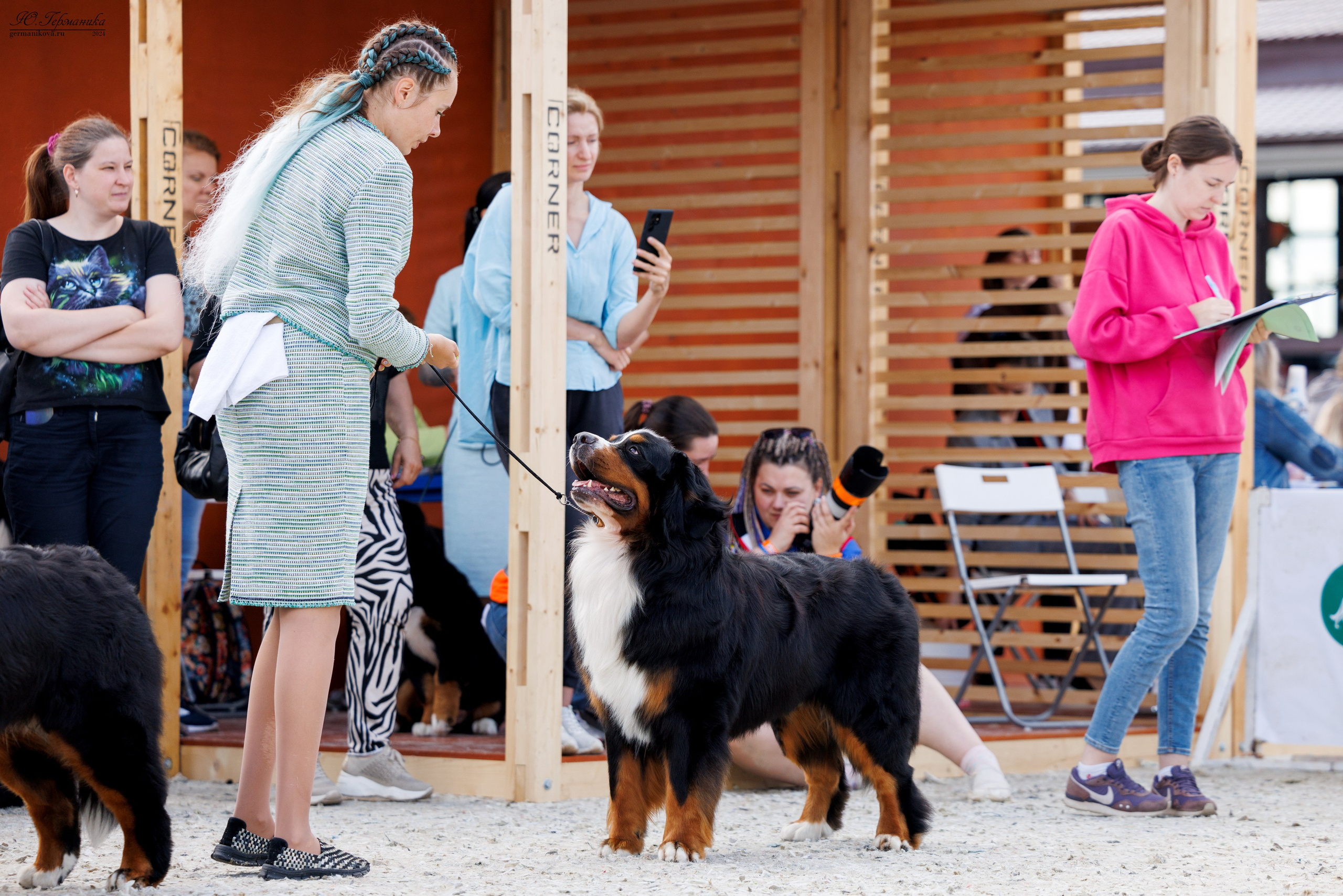 РОССИЯ 8-9.06.2024. Фотограф-анималист Юлия Германика