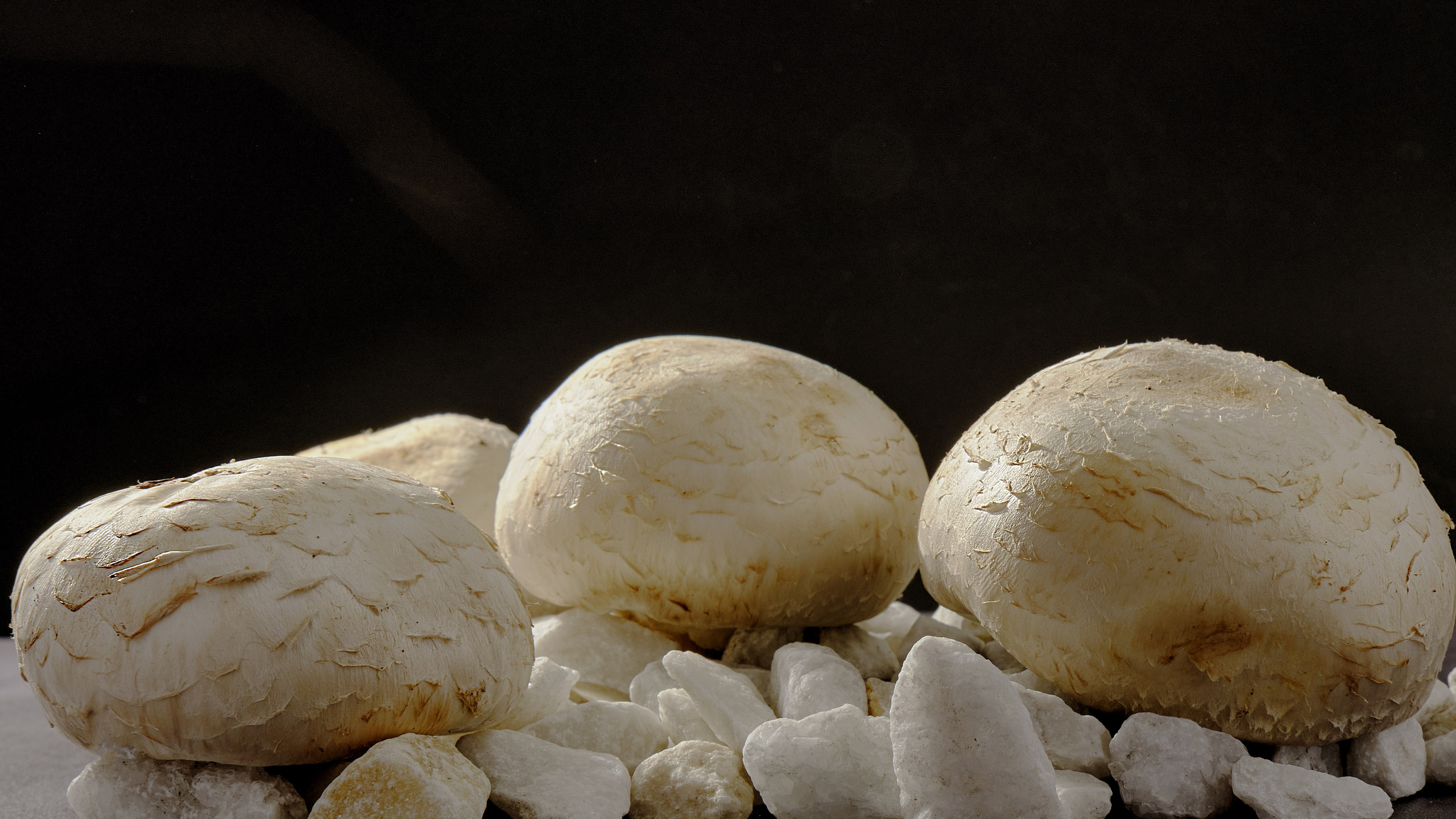 Я  фотограф. Работаю в городе Москва,