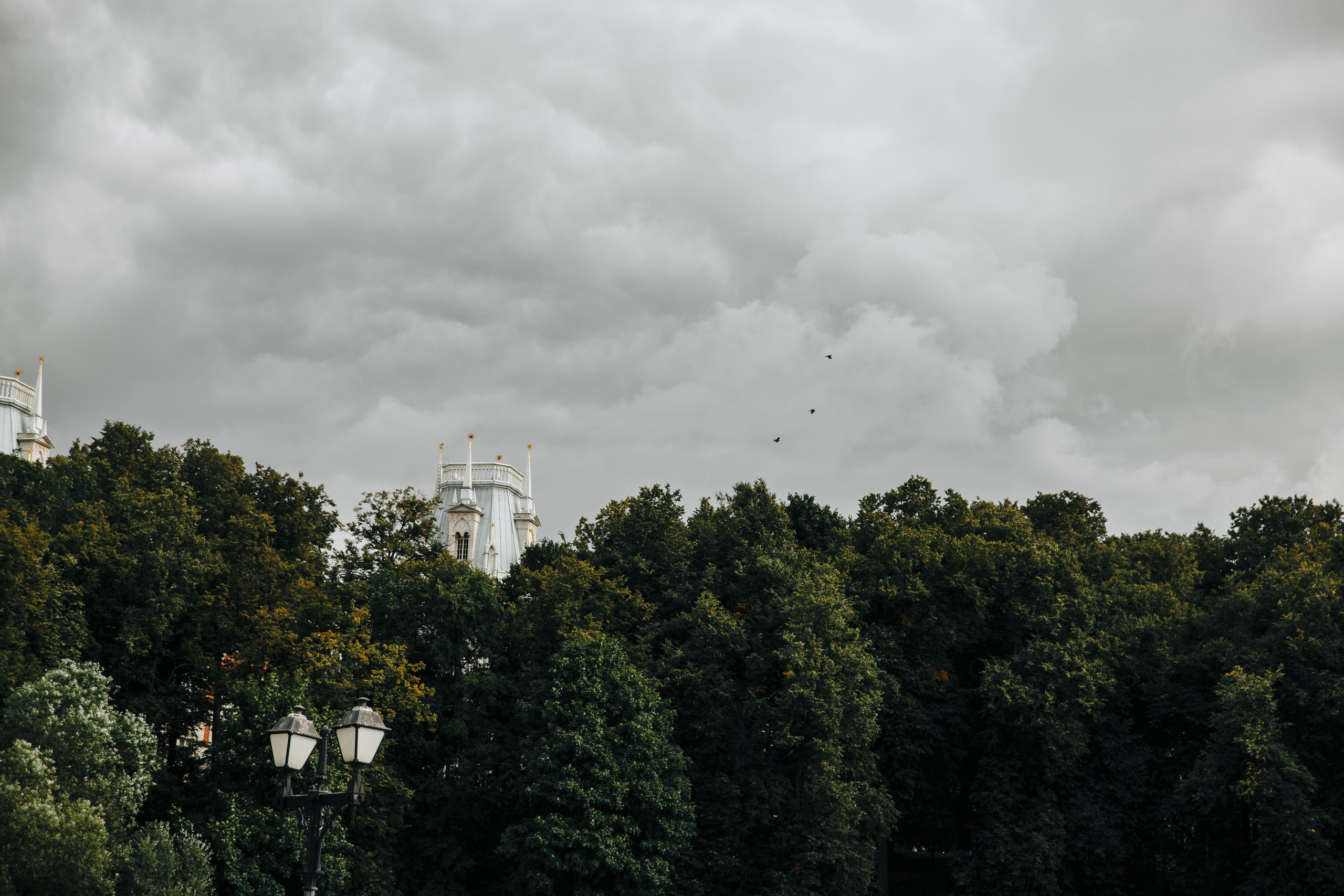 Ты улыбнешься и скажешь мне да. Свадебный фотограф в Москве Кристина Засухина