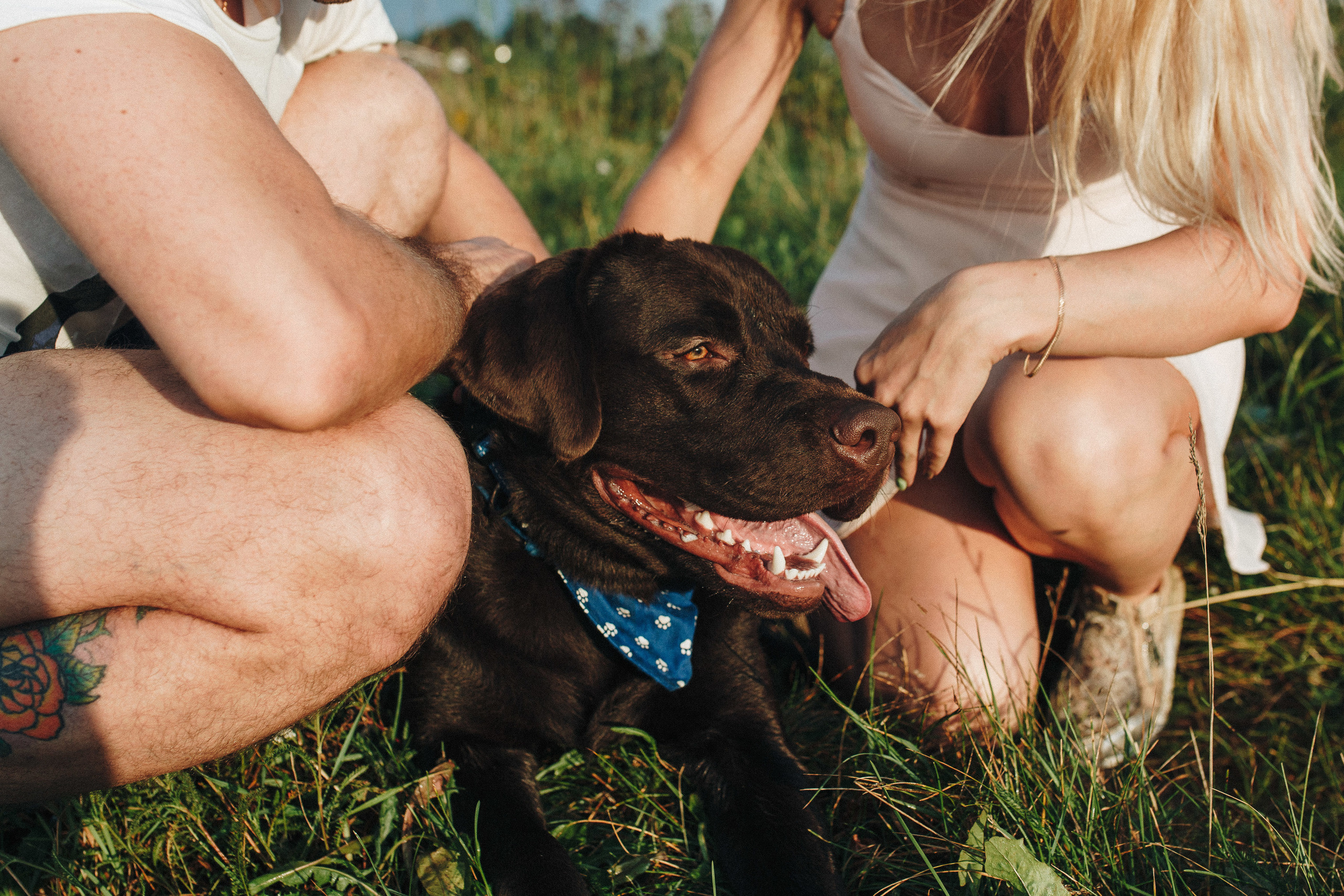 Фотосессия с собакой. Свадебный фотограф в Москве Кристина Засухина