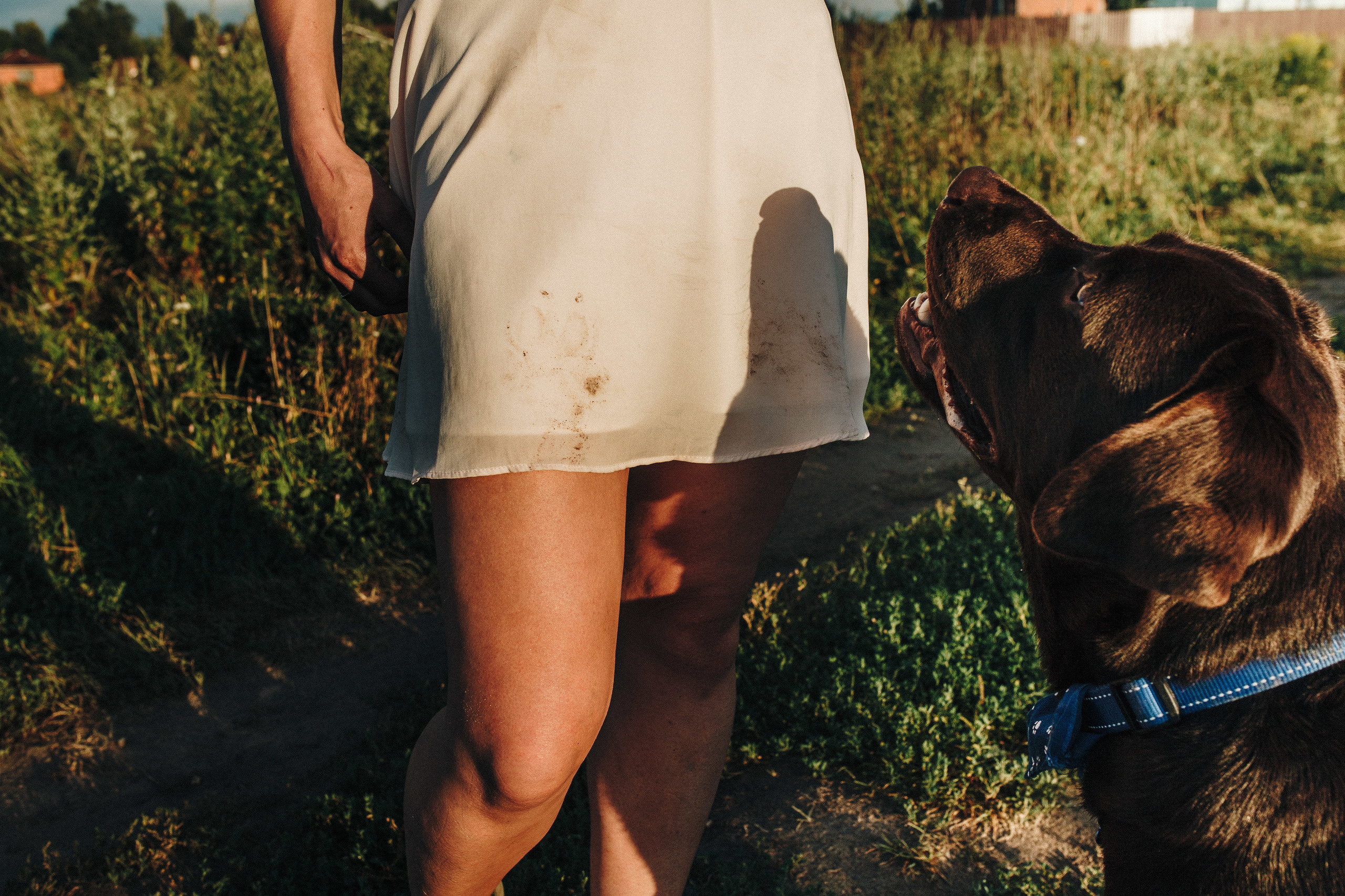 Фотосессия с собакой. Свадебный фотограф в Москве Кристина Засухина