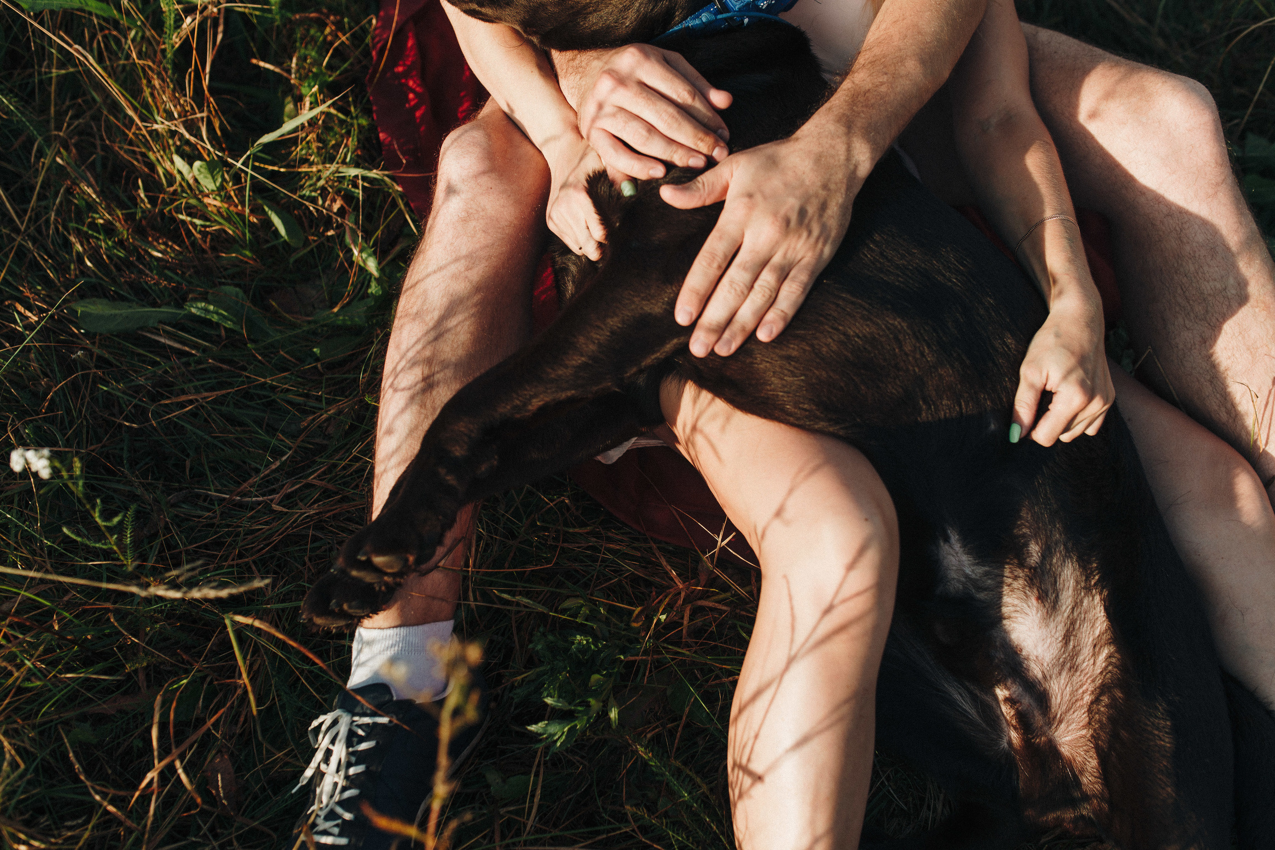 Фотосессия с собакой. Свадебный фотограф в Москве Кристина Засухина