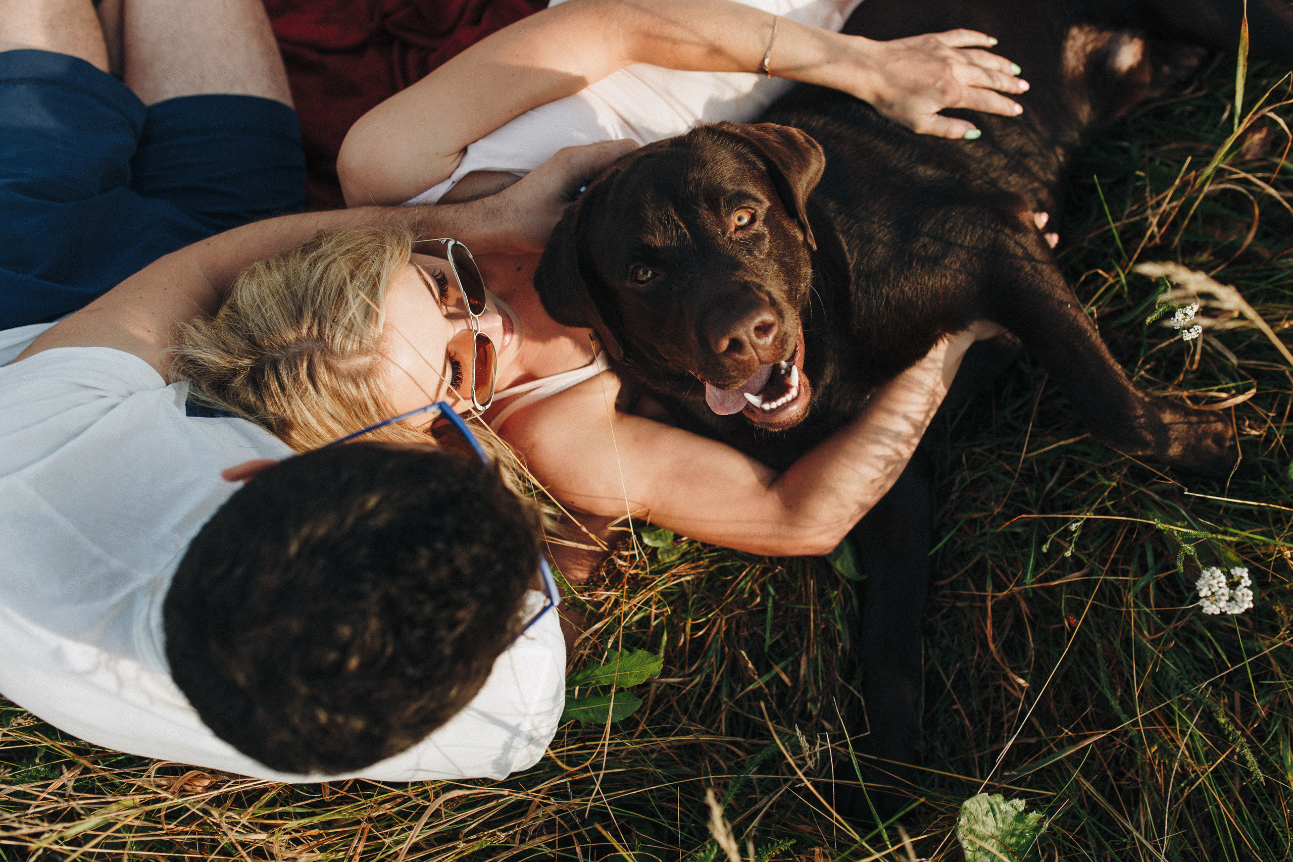 Фотосессия с собакой. Свадебный фотограф в Москве Кристина Засухина