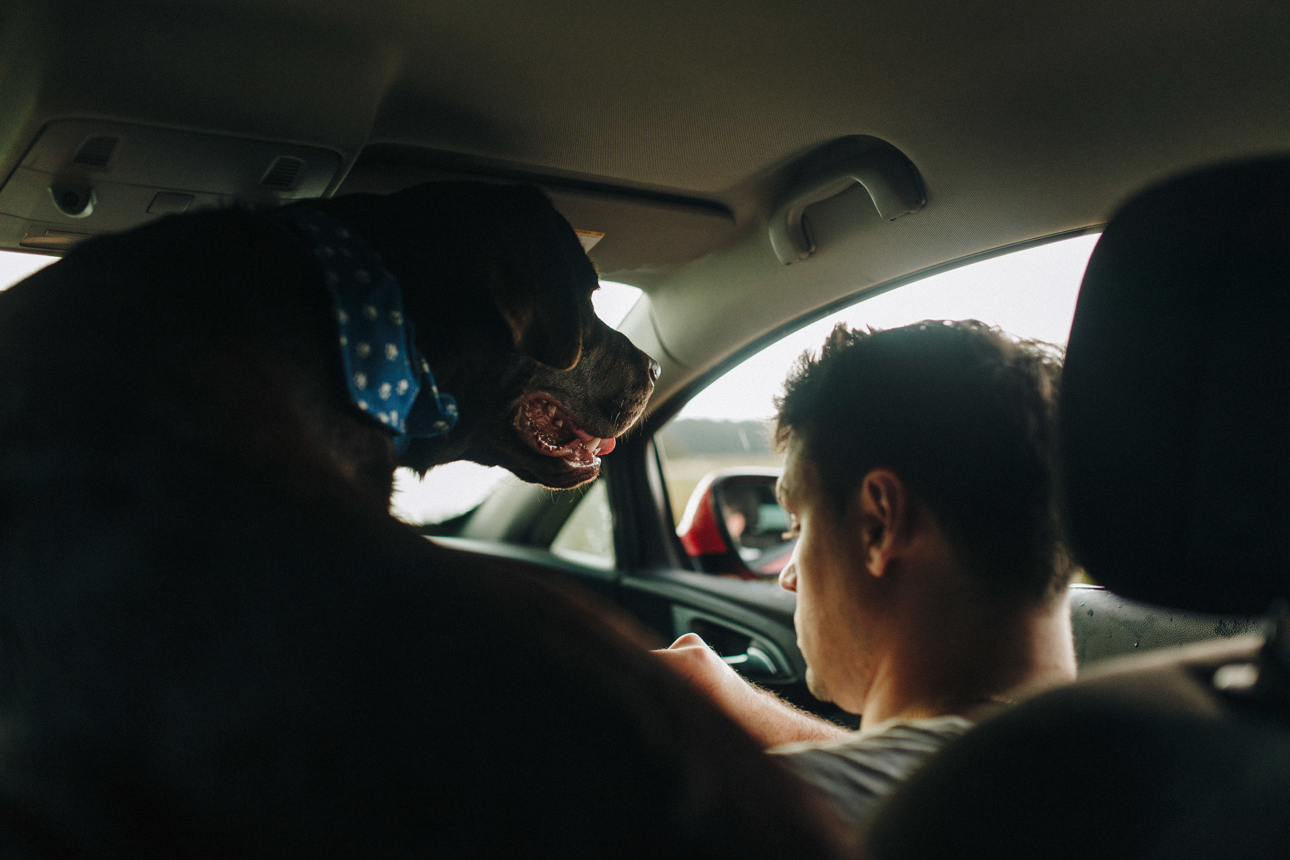 Фотосессия с собакой. Свадебный фотограф в Москве Кристина Засухина