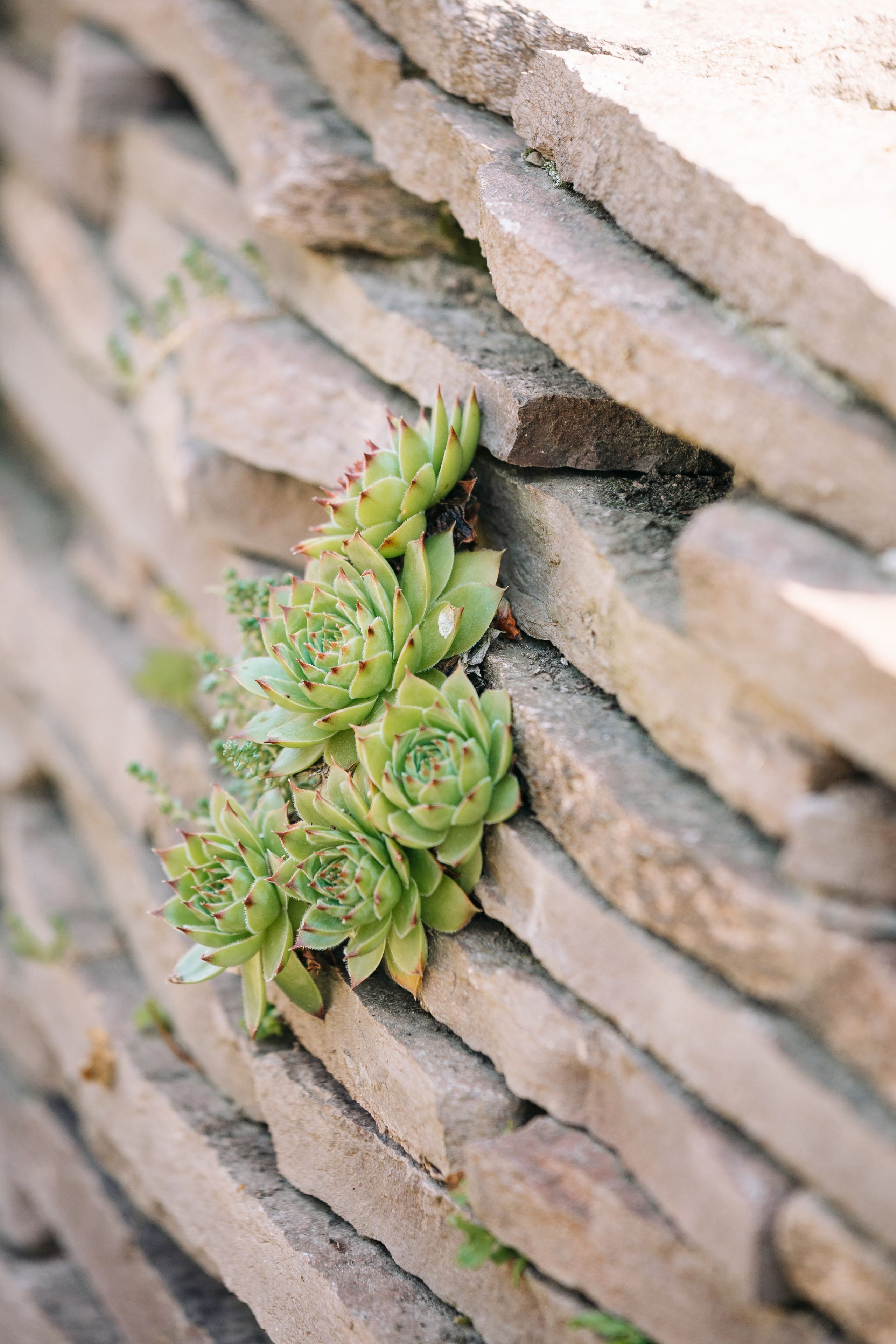 Ландшафтный дизайн. Главная