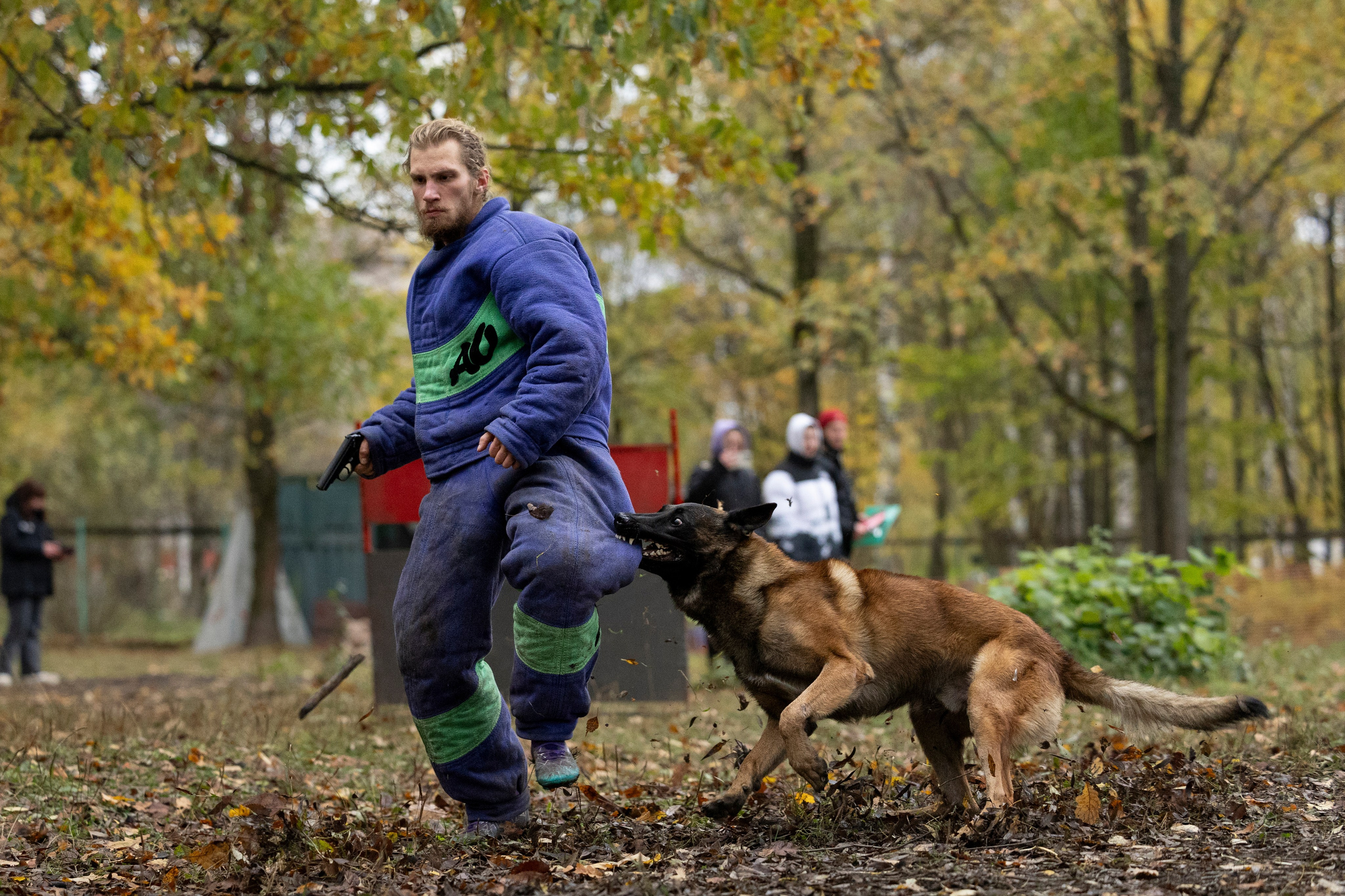 Соревнования по Мондьорингу г. Вологда. Фотограф-анималист Анна Маринич