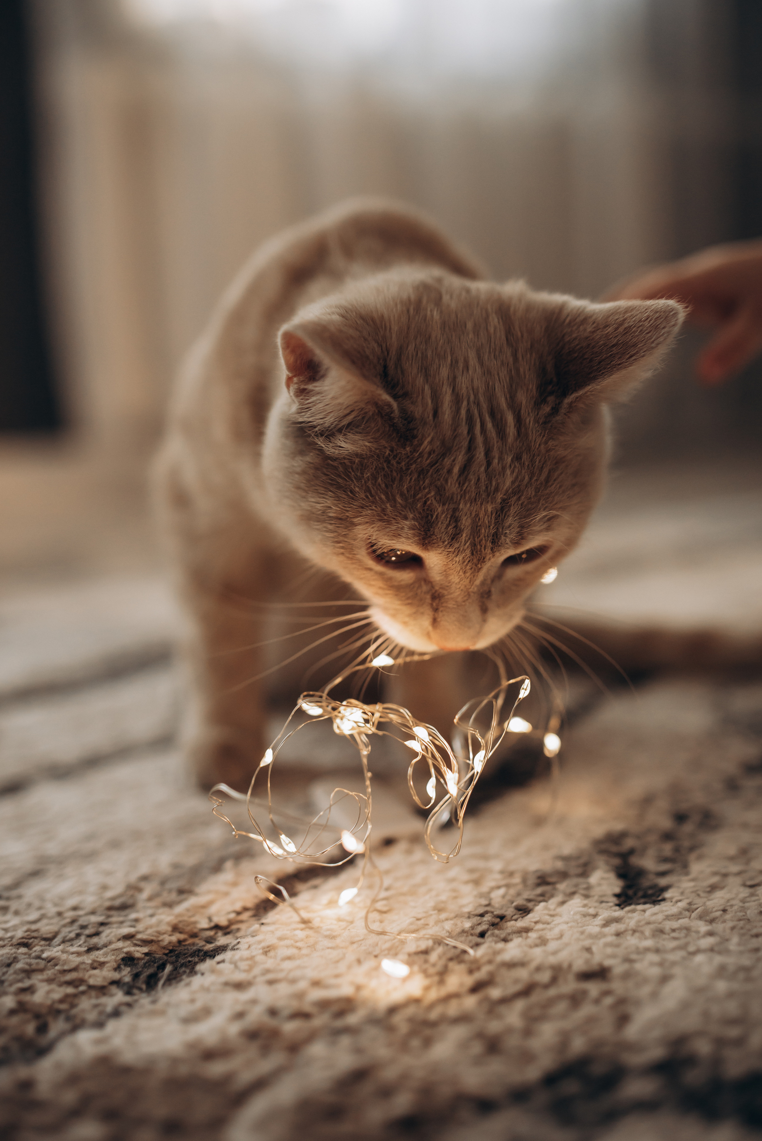 Счастье — это ты…. Семейный, свадебный фотограф в Чите Екатерина Мельникова