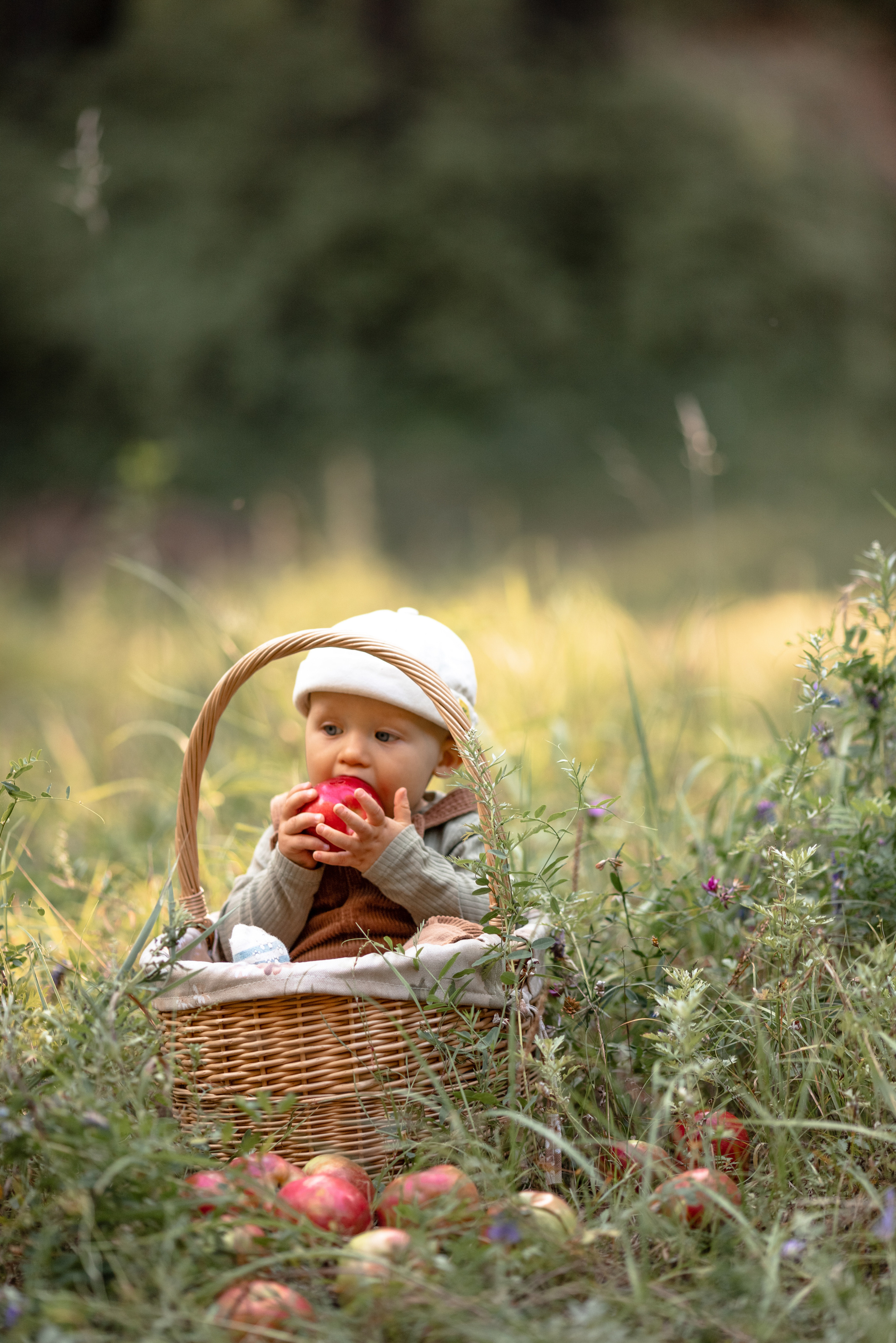 Apple Family. Семейный, свадебный фотограф в Чите Екатерина Мельникова