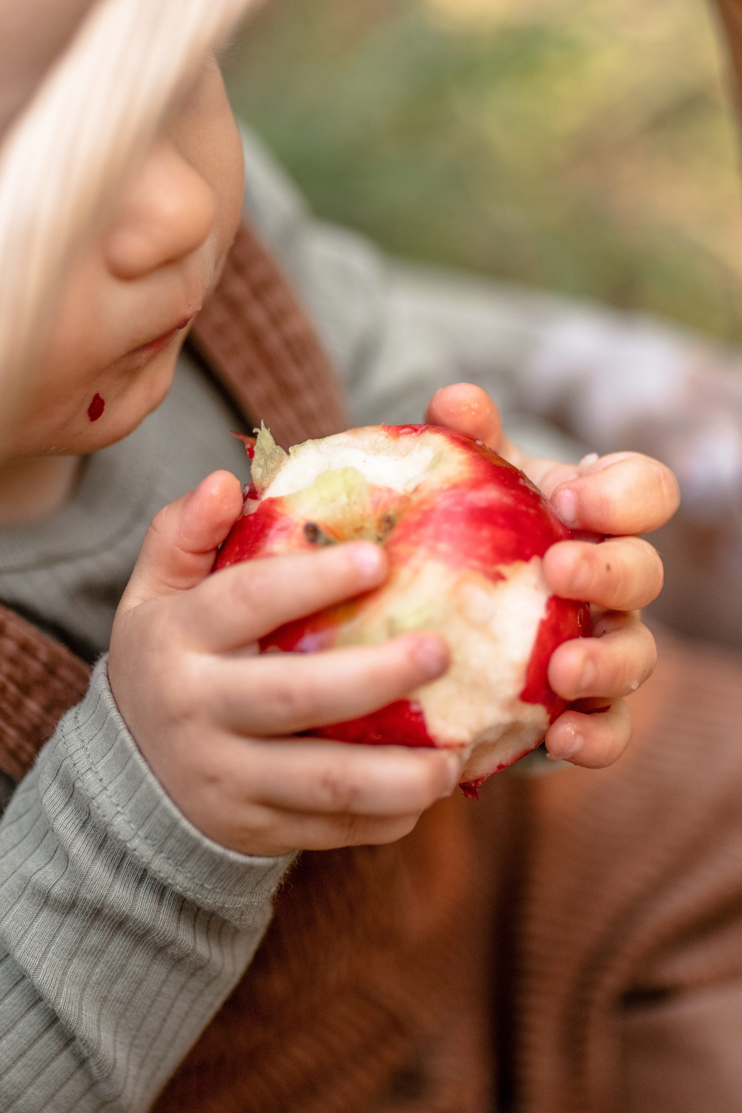 Apple Family. Семейный, свадебный фотограф в Чите Екатерина Мельникова