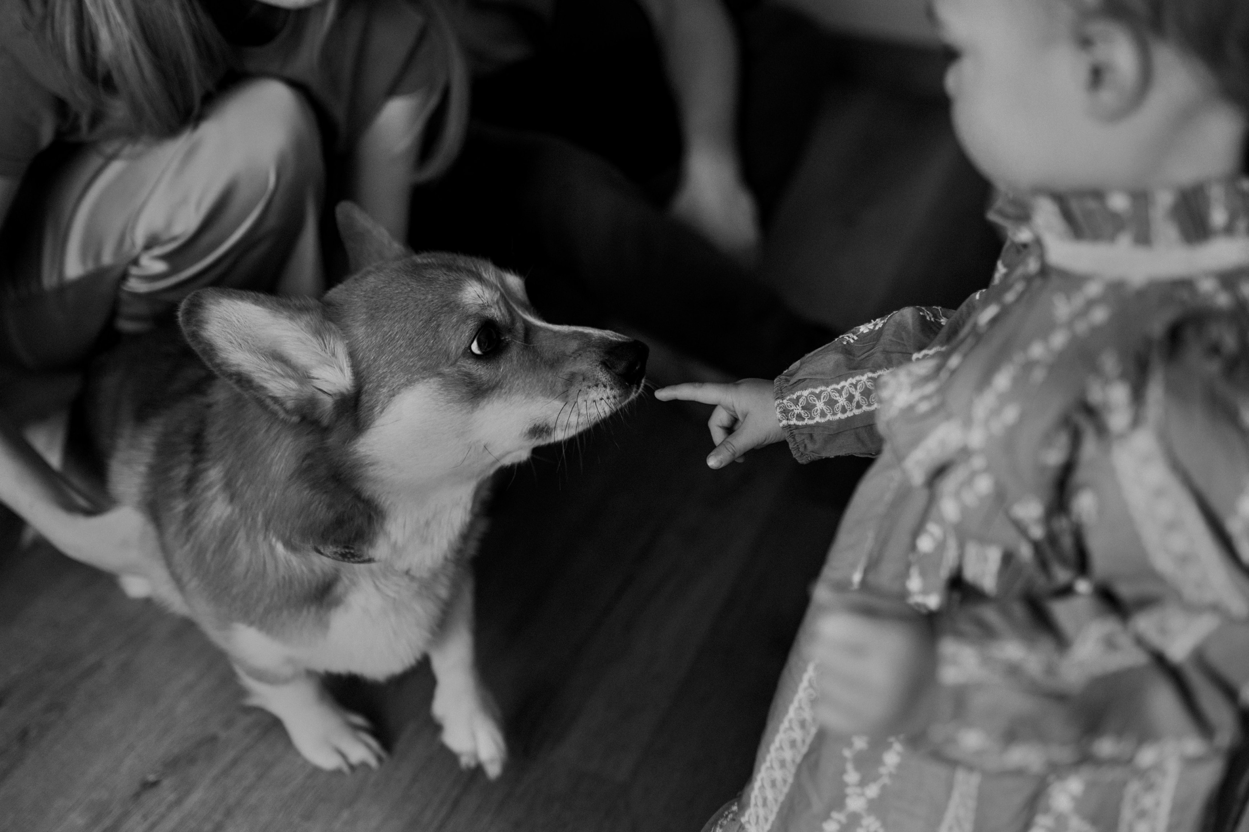 Даша, Саша, Алеся. Www.ostermiller.ru