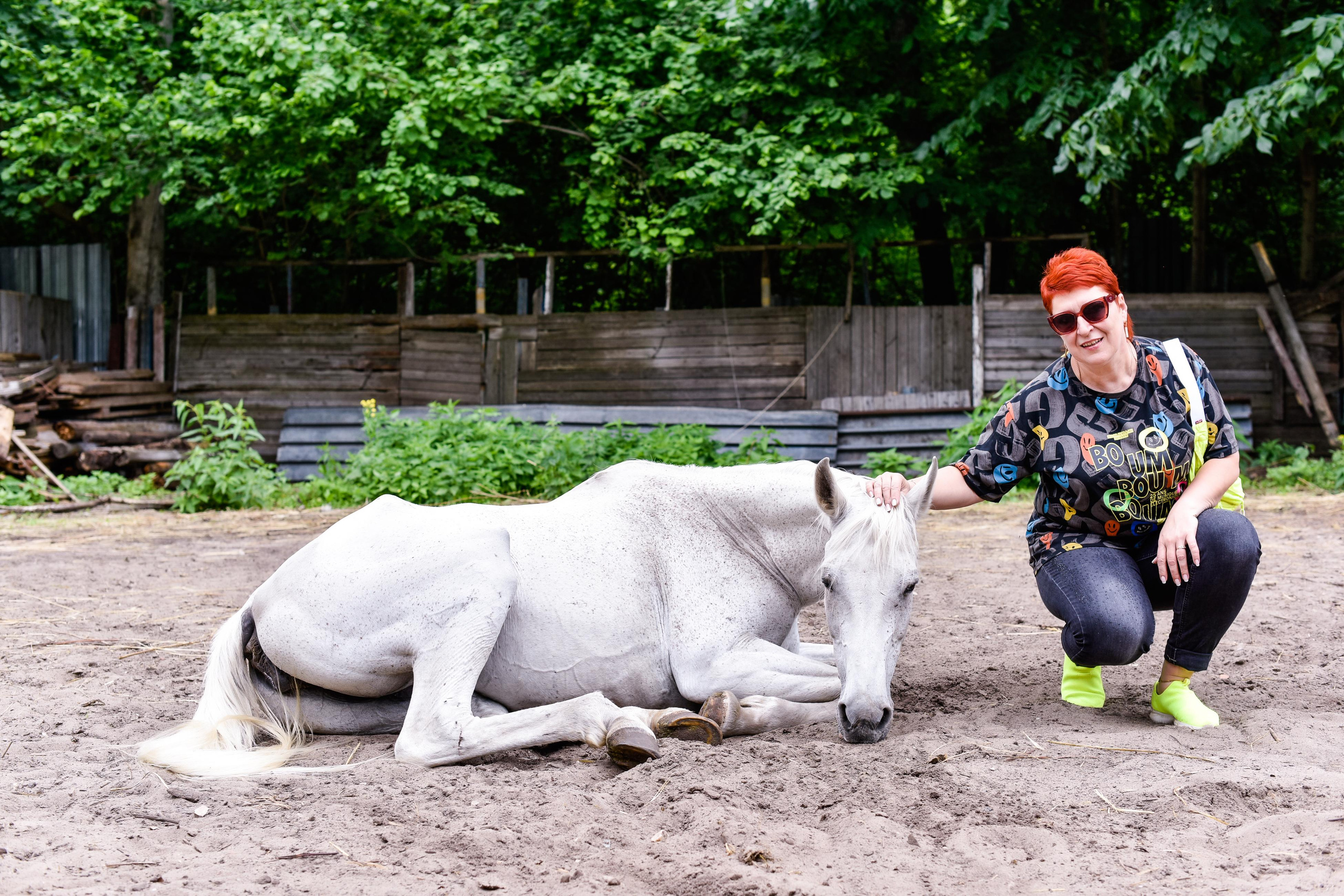 Прогулка на лошадках