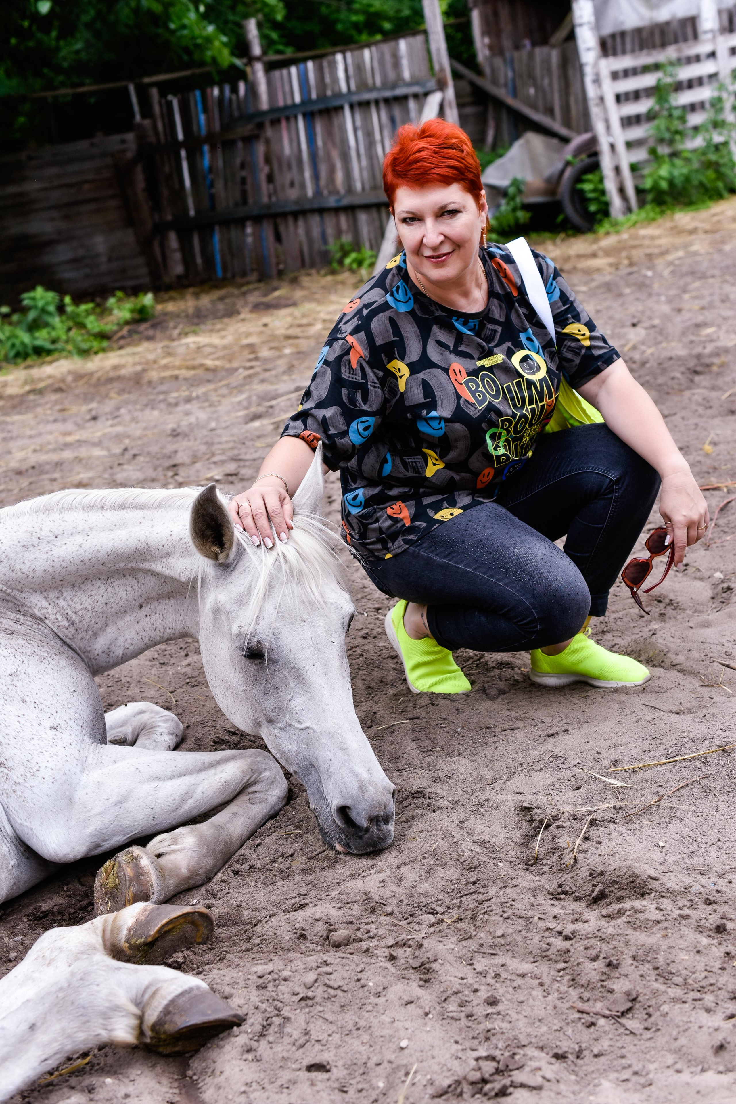 Прогулка на лошадках