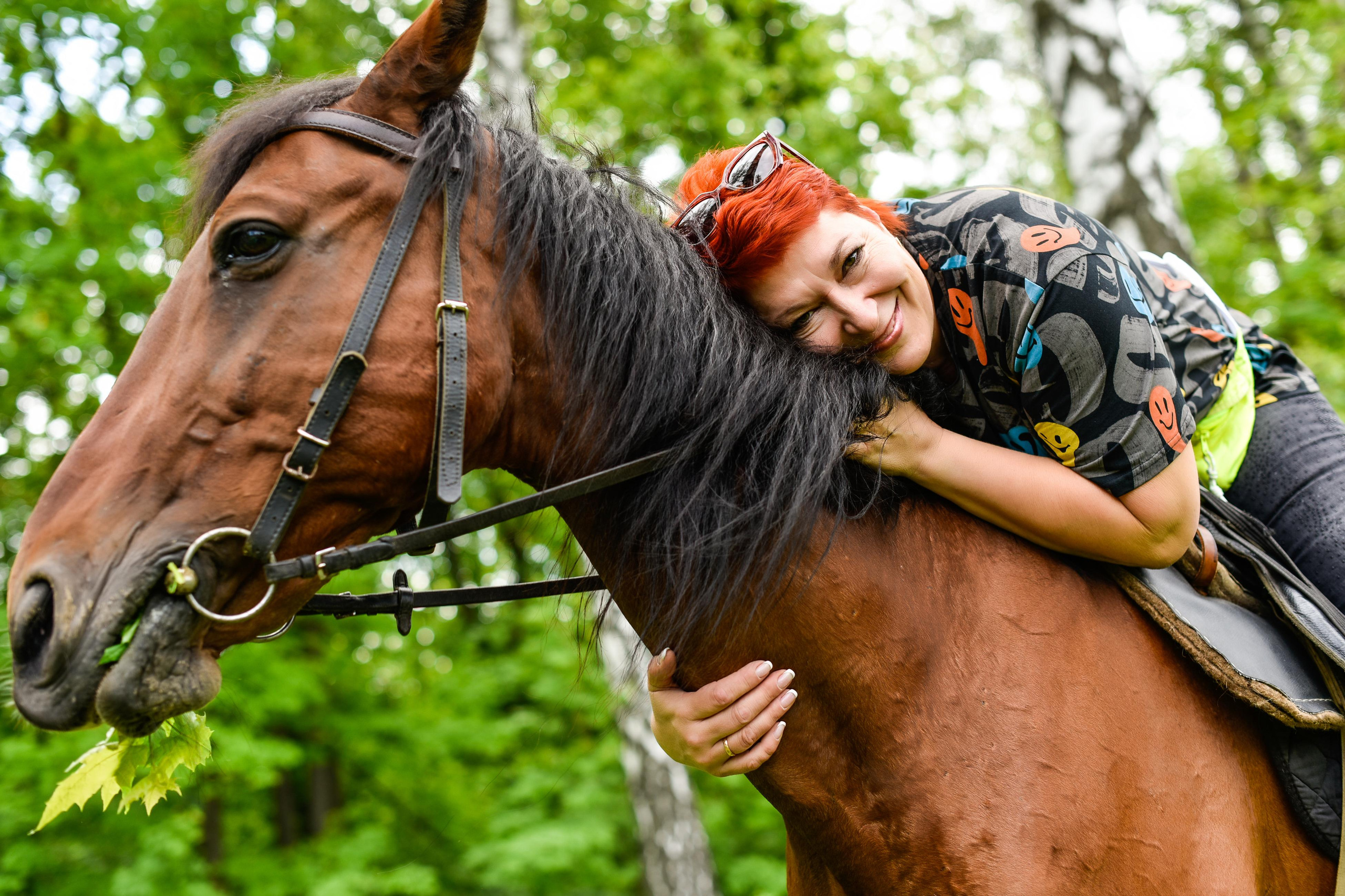 Прогулка на лошадках