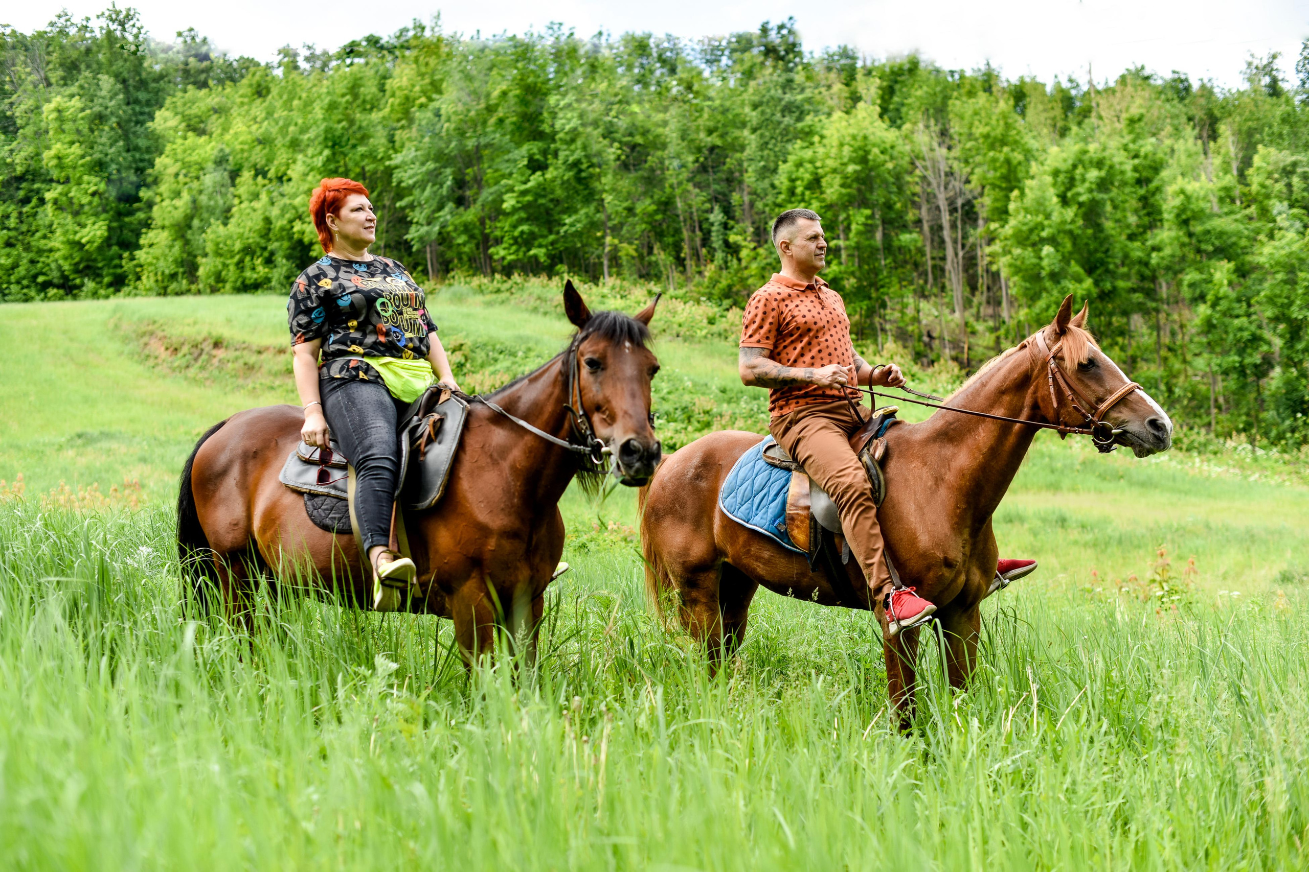 Прогулка на лошадках