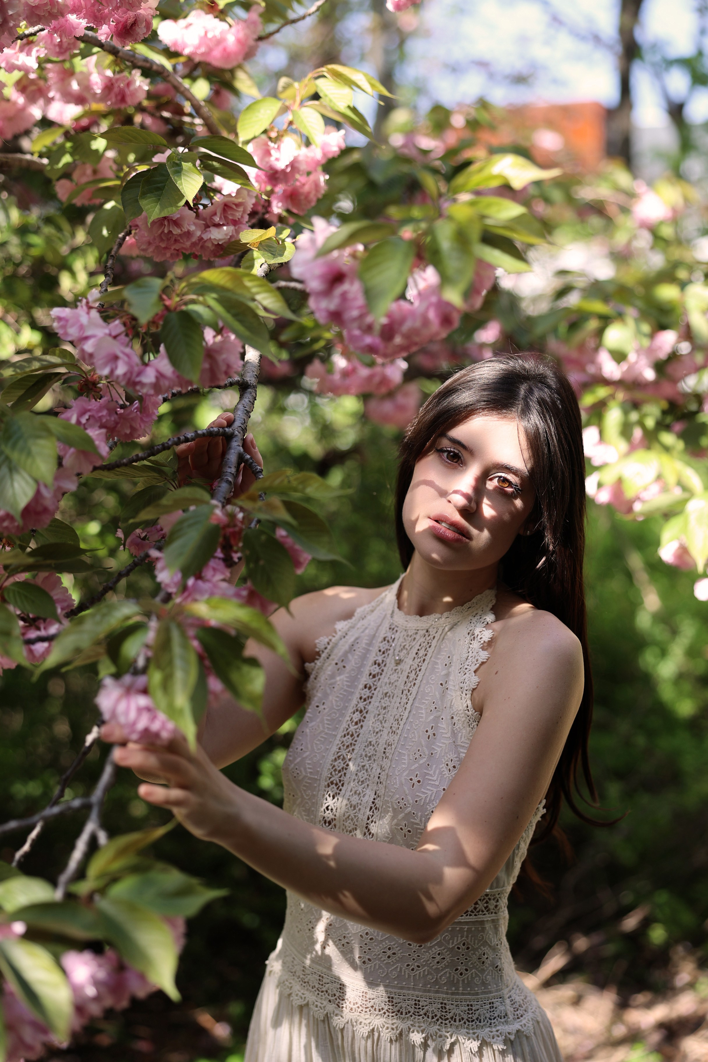 Busan Photographer. Photographer in Busan | Royal Cherry Blossom Solo Photoshoot