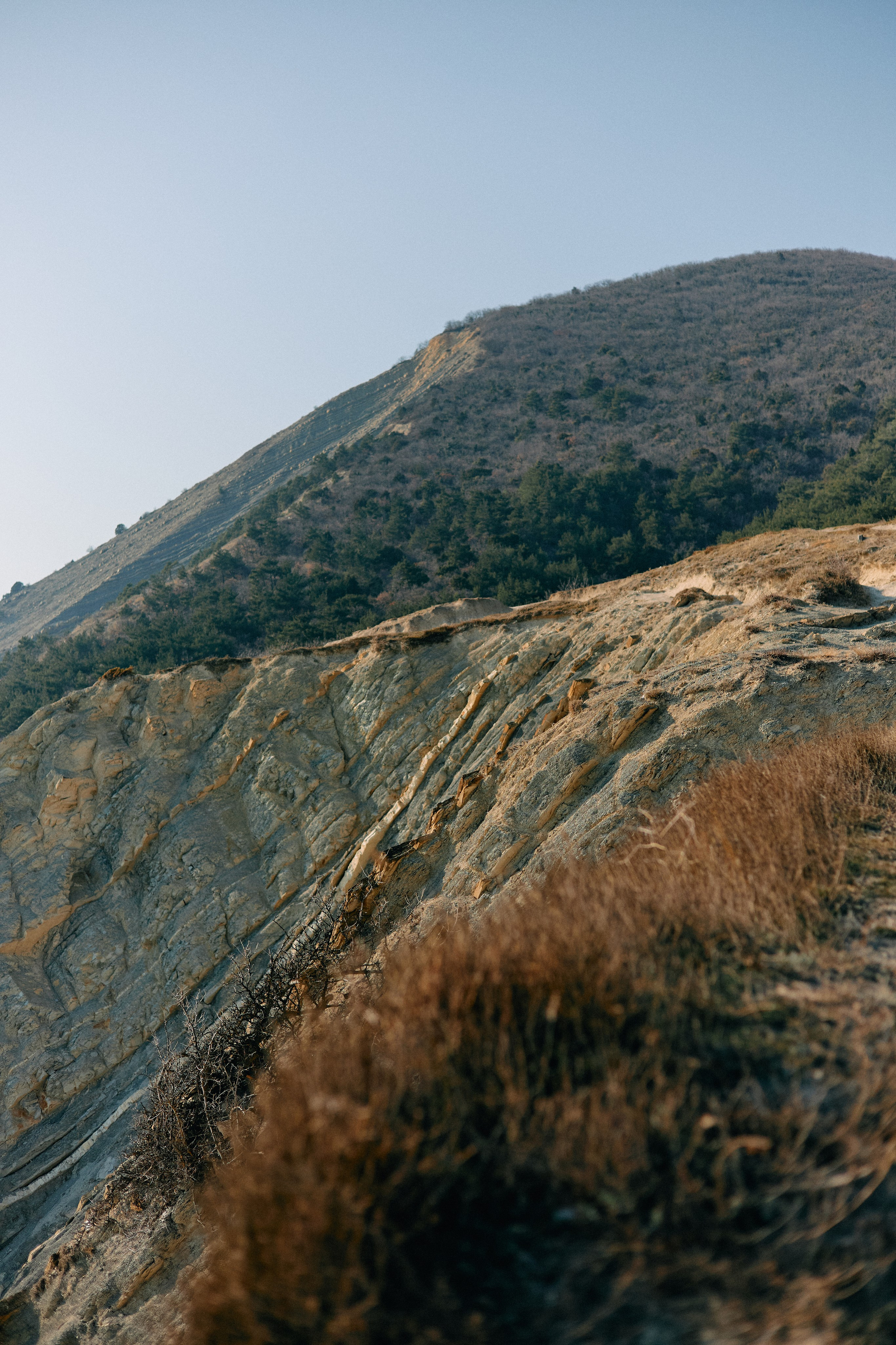 Юг России. Профессиональный Фотограф во Владимире, в Москве и в Суздале — Полина Романычева