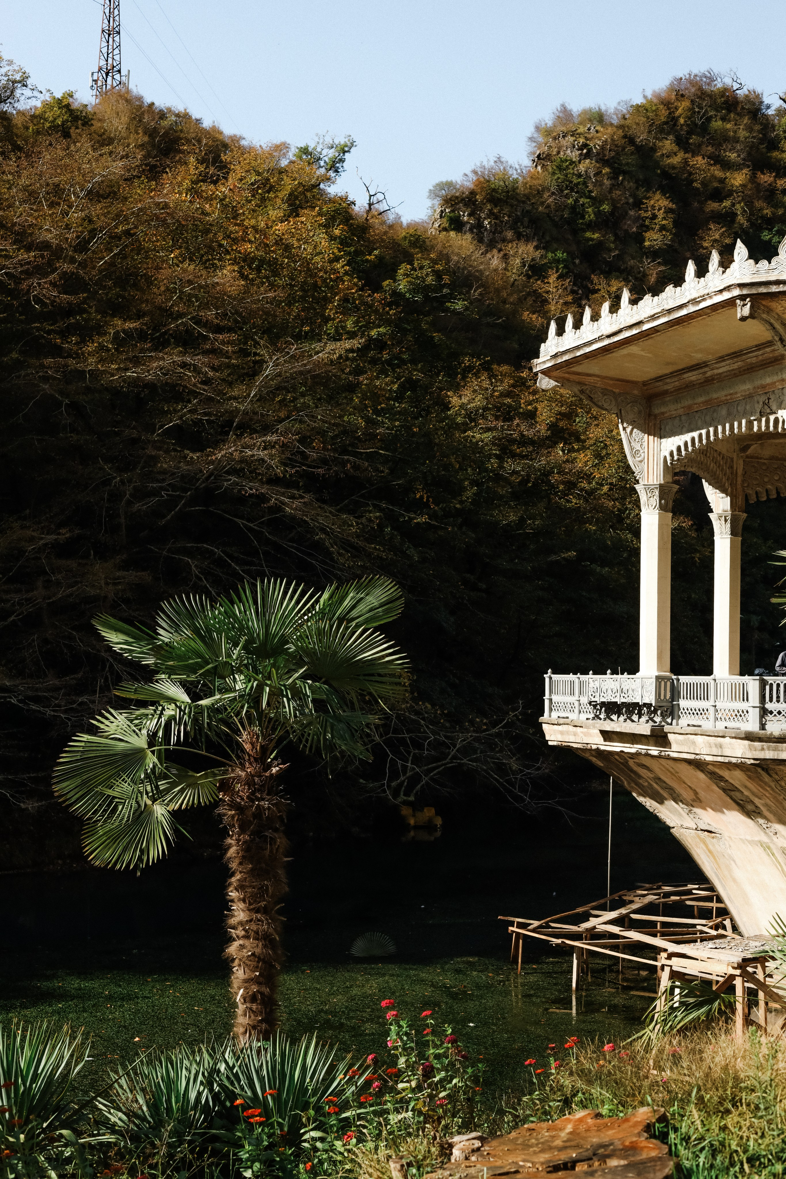 Абхазия 2023. Свадебный и семейный фотограф Анна Печенкина