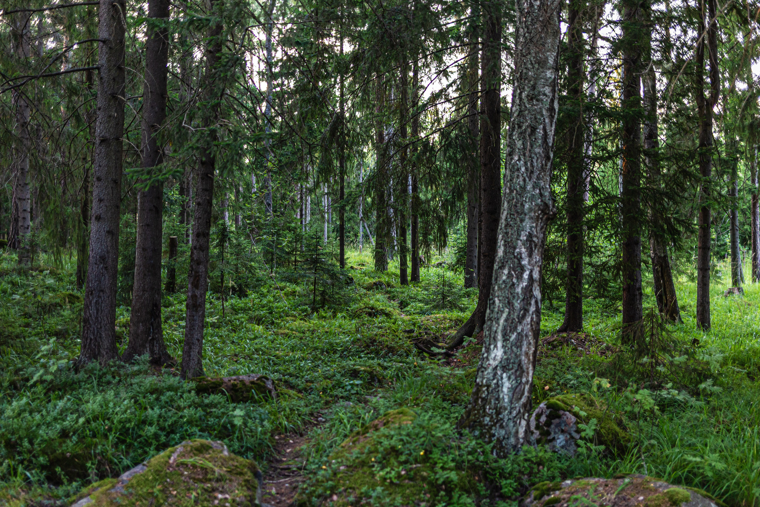 Приозерск. Фотограф в Санкт-Петербурге Чумаков Семен