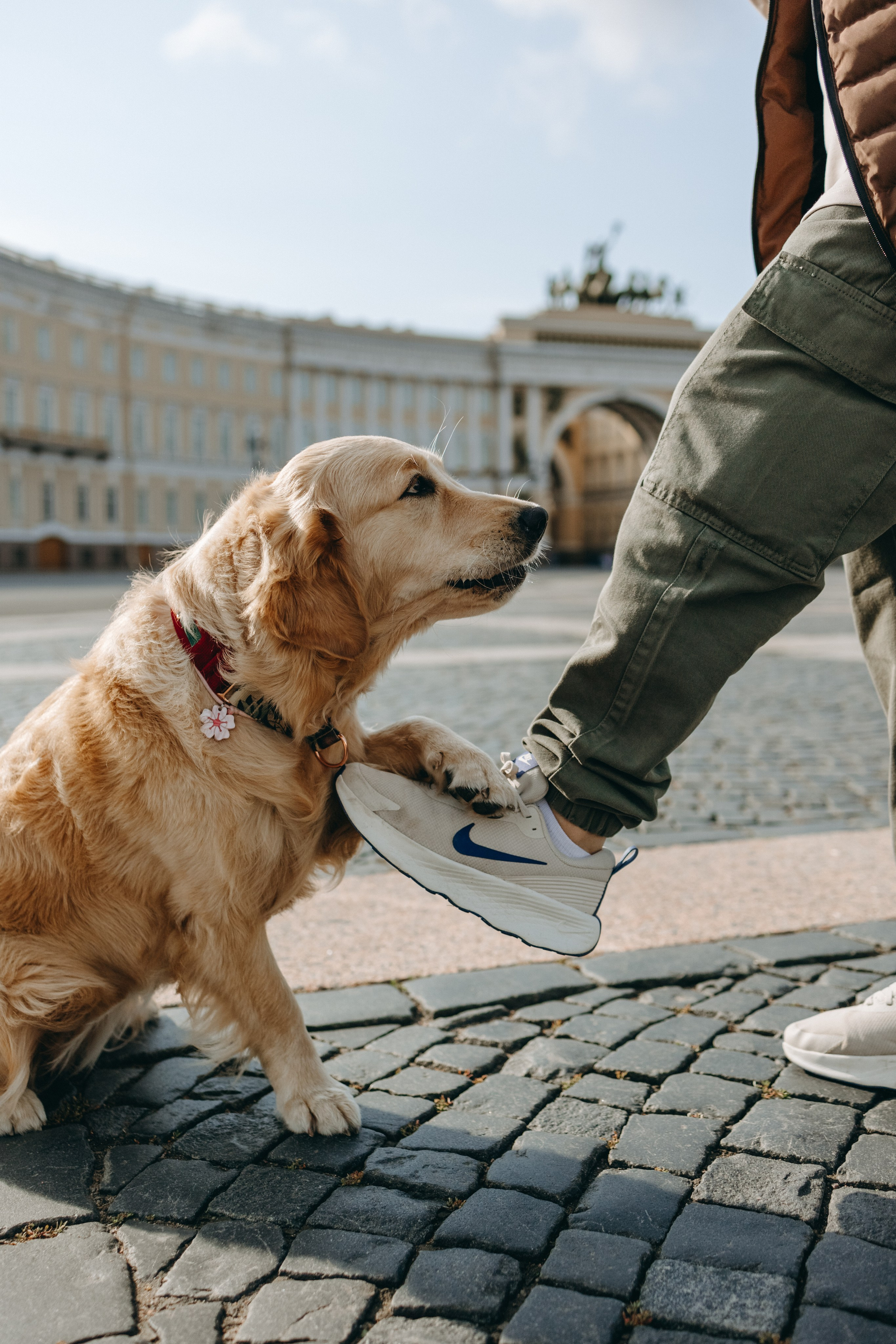 Бетти и ее семья. Фотограф — Анималист | Санкт-Петербург