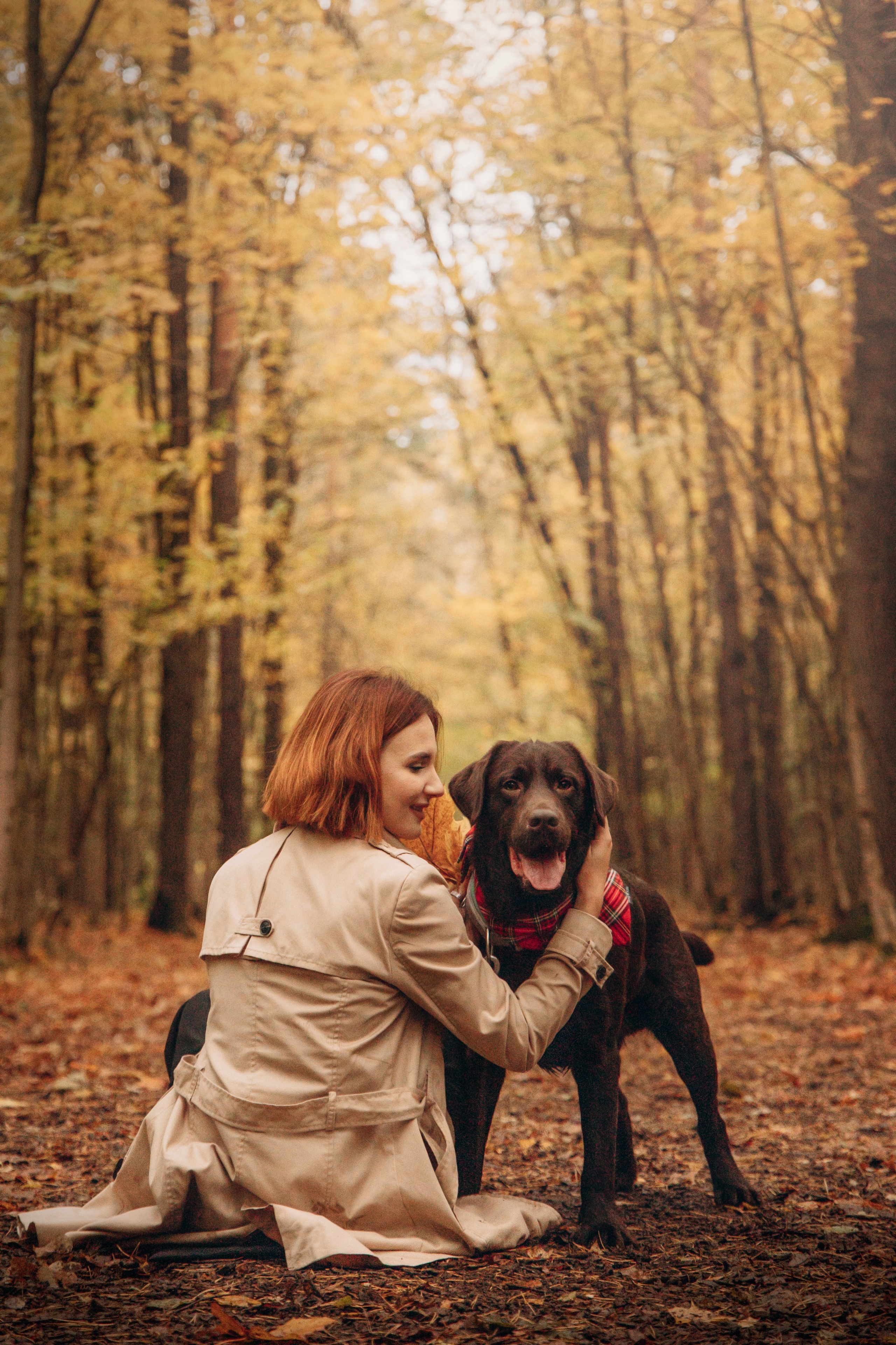 Арина и Сэмми. Фотограф — Анималист | Санкт-Петербург