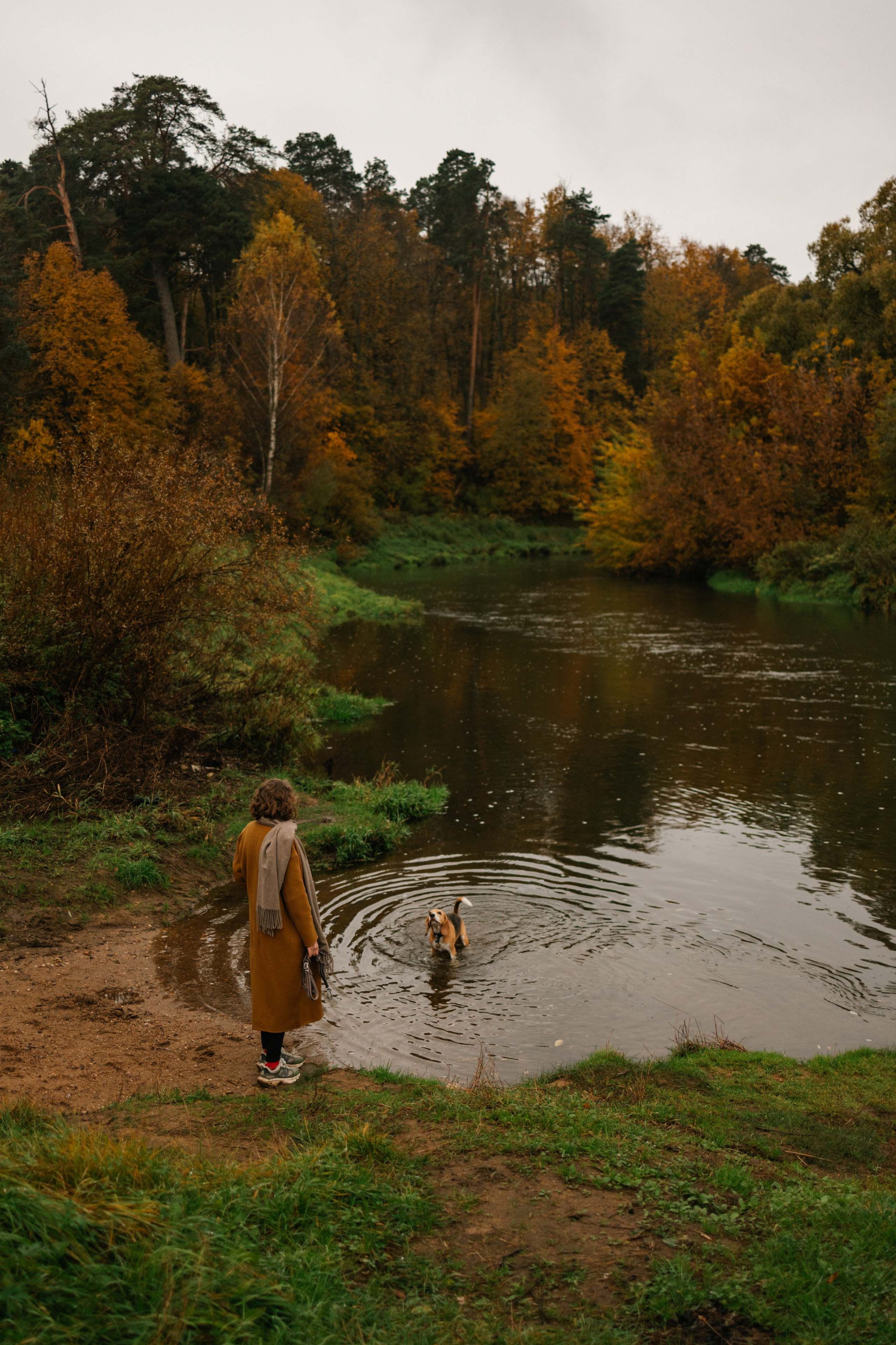 Лена и Тайгер. Фотограф — Анималист | Санкт-Петербург