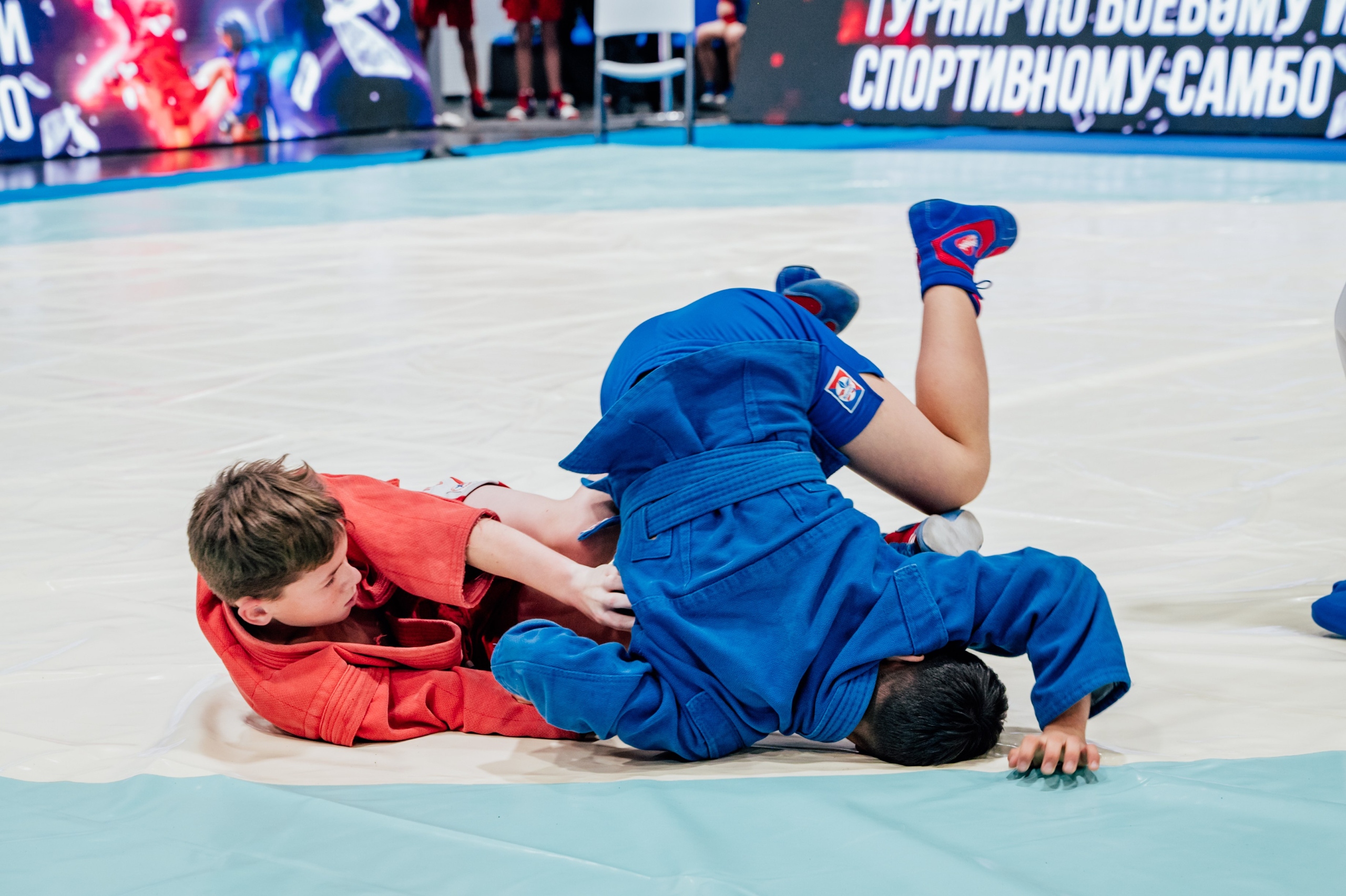 Турнир по самбо ЮФО