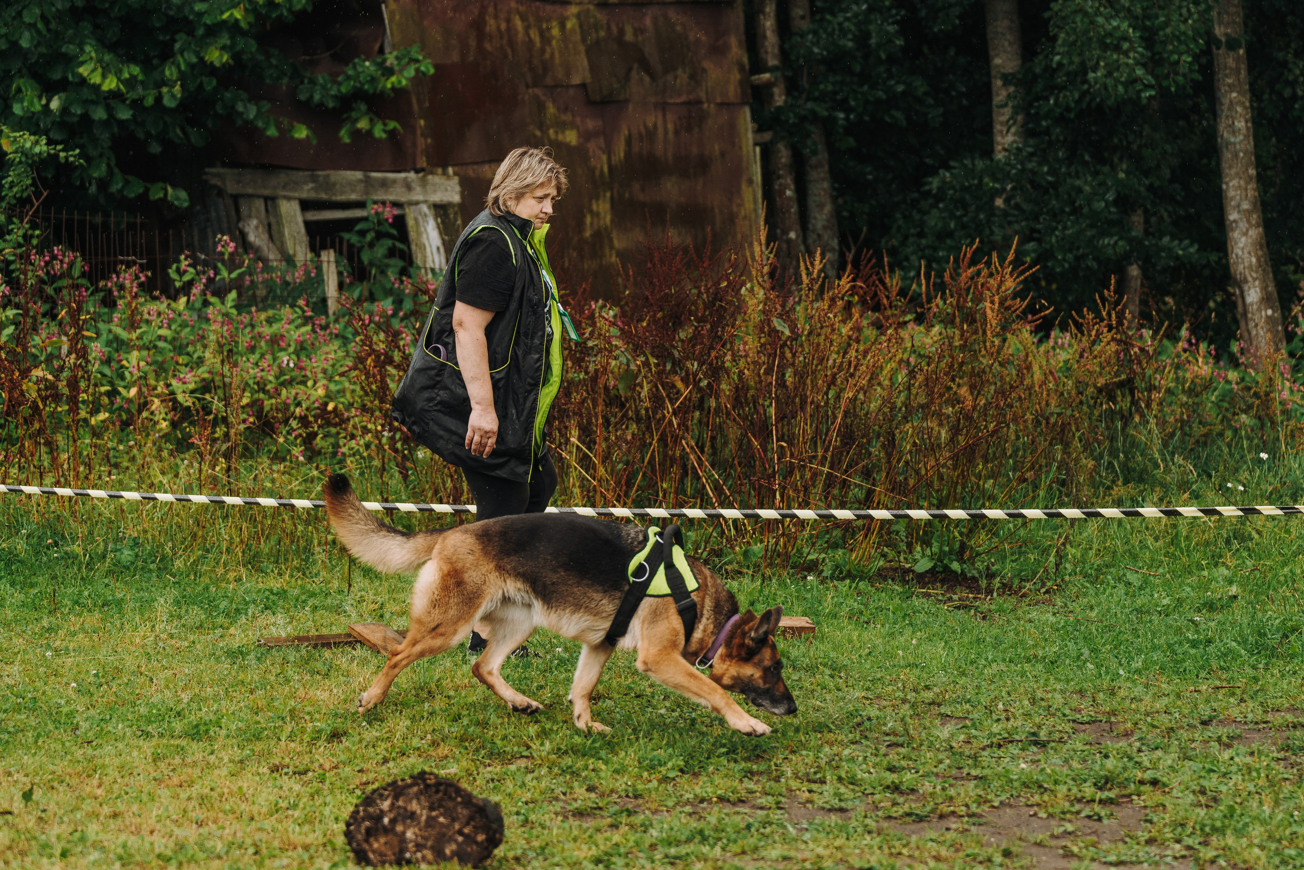 Соревнования по ноузворку в Новожилово. Фотограф анималист в Спб недорого Олеся Майорова