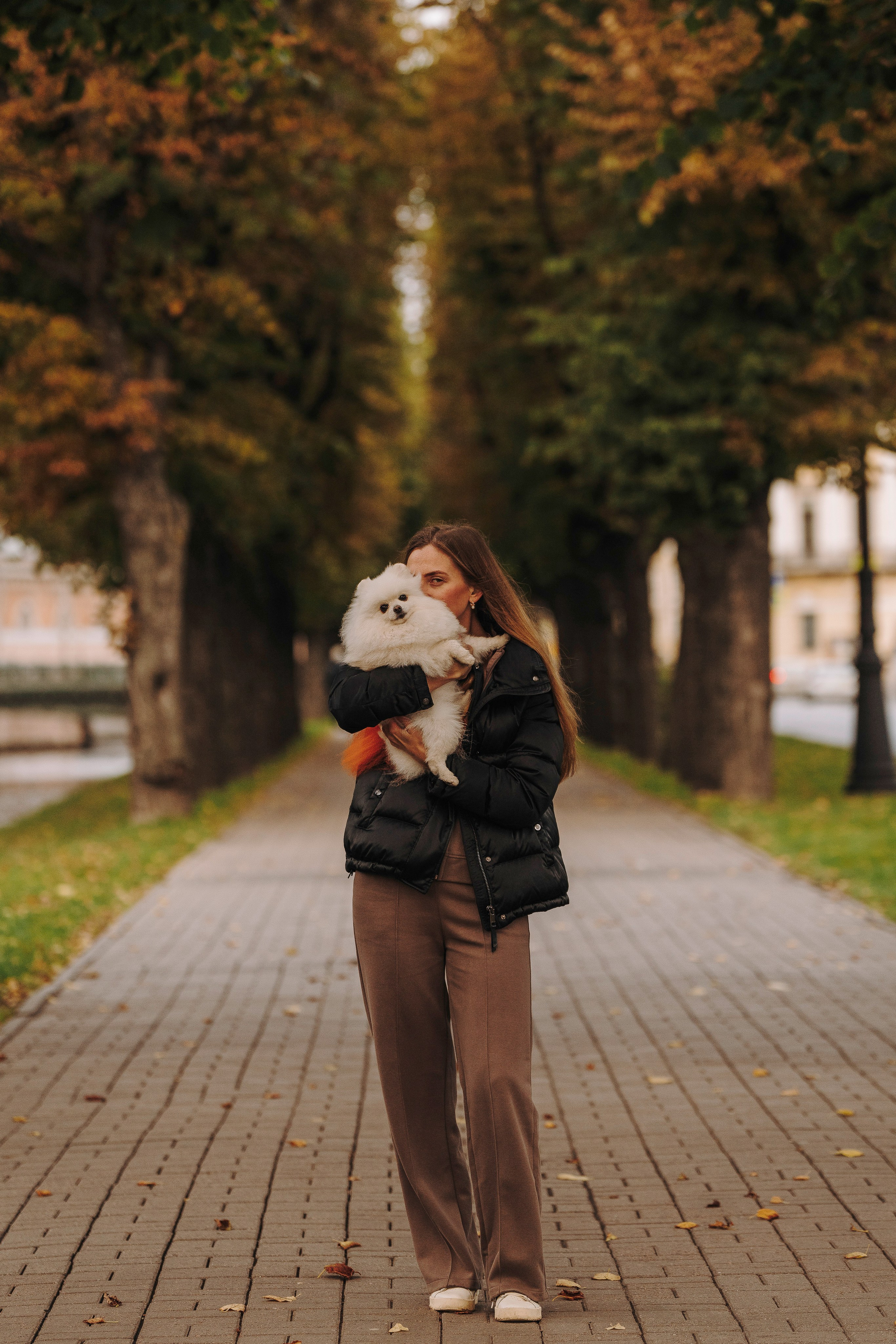 Фотосессия с померанским шпицем. Фотограф анималист в Спб недорого Олеся Майорова