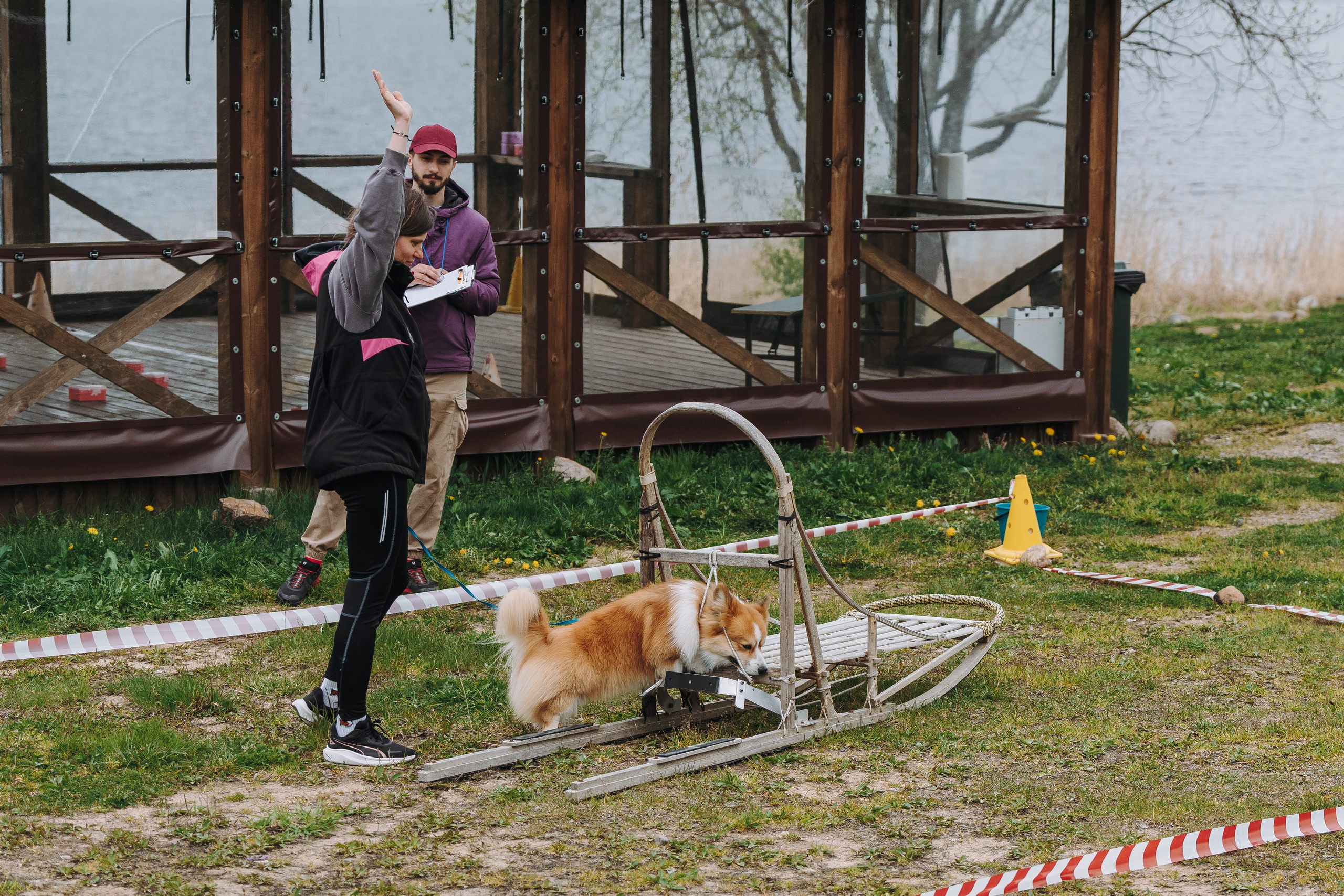 Соревнования по ноузворку в Лосево. Фотограф анималист в Спб недорого Олеся Майорова