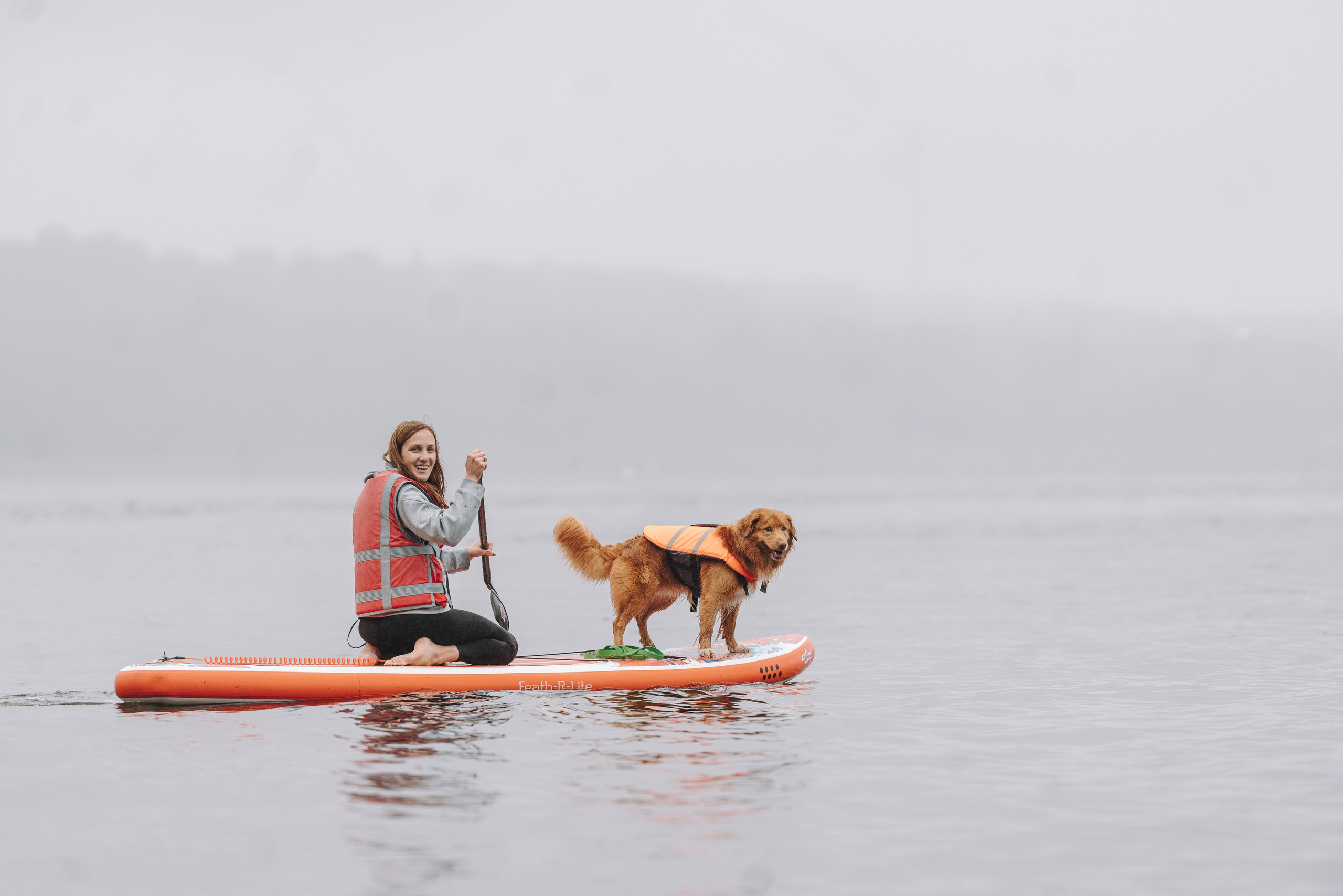 Катание на сапах с собаками. Фотограф анималист в Спб недорого Олеся Майорова