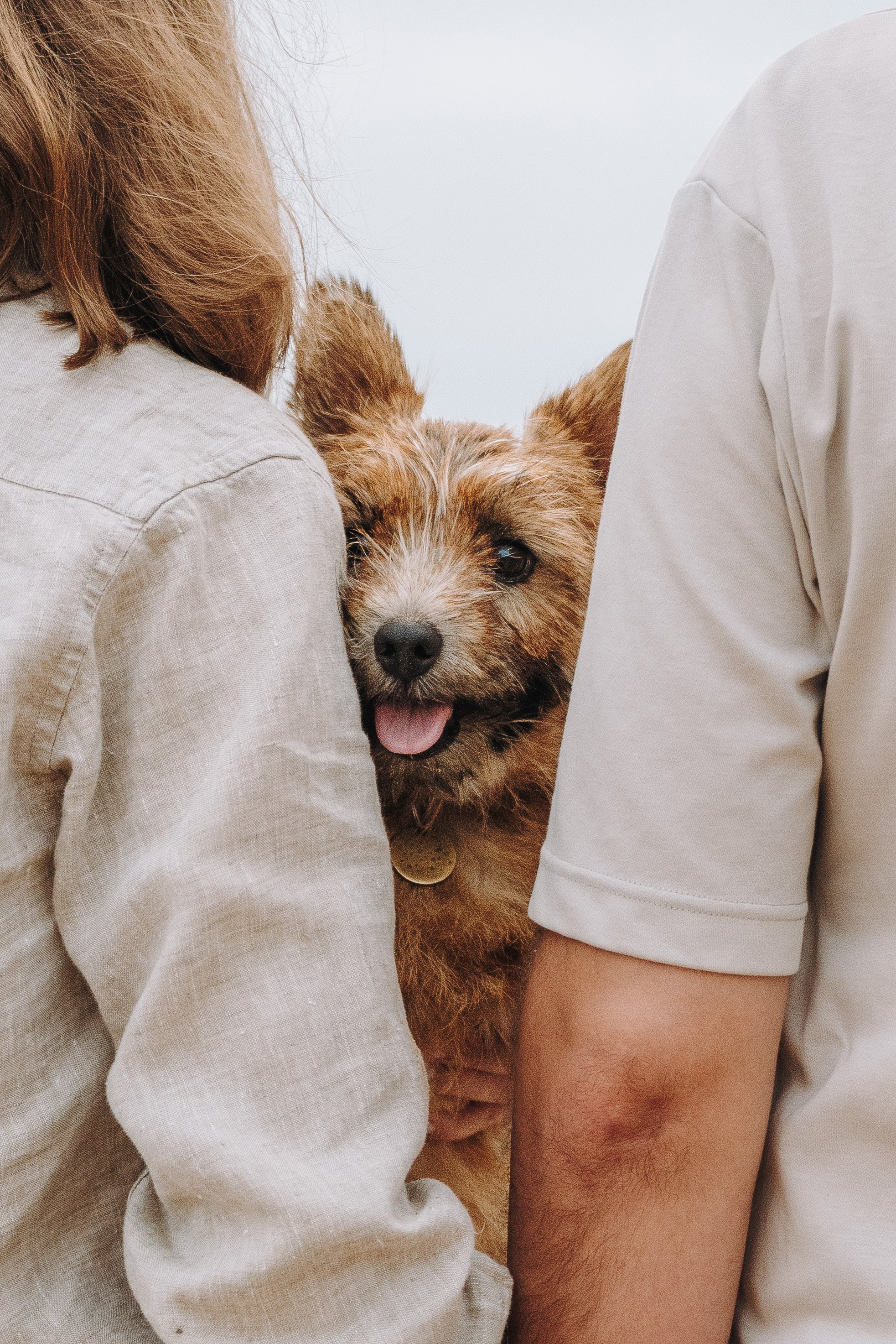 Семейная фотосессия с собакой Спб. Фотограф анималист в Спб недорого Олеся Майорова