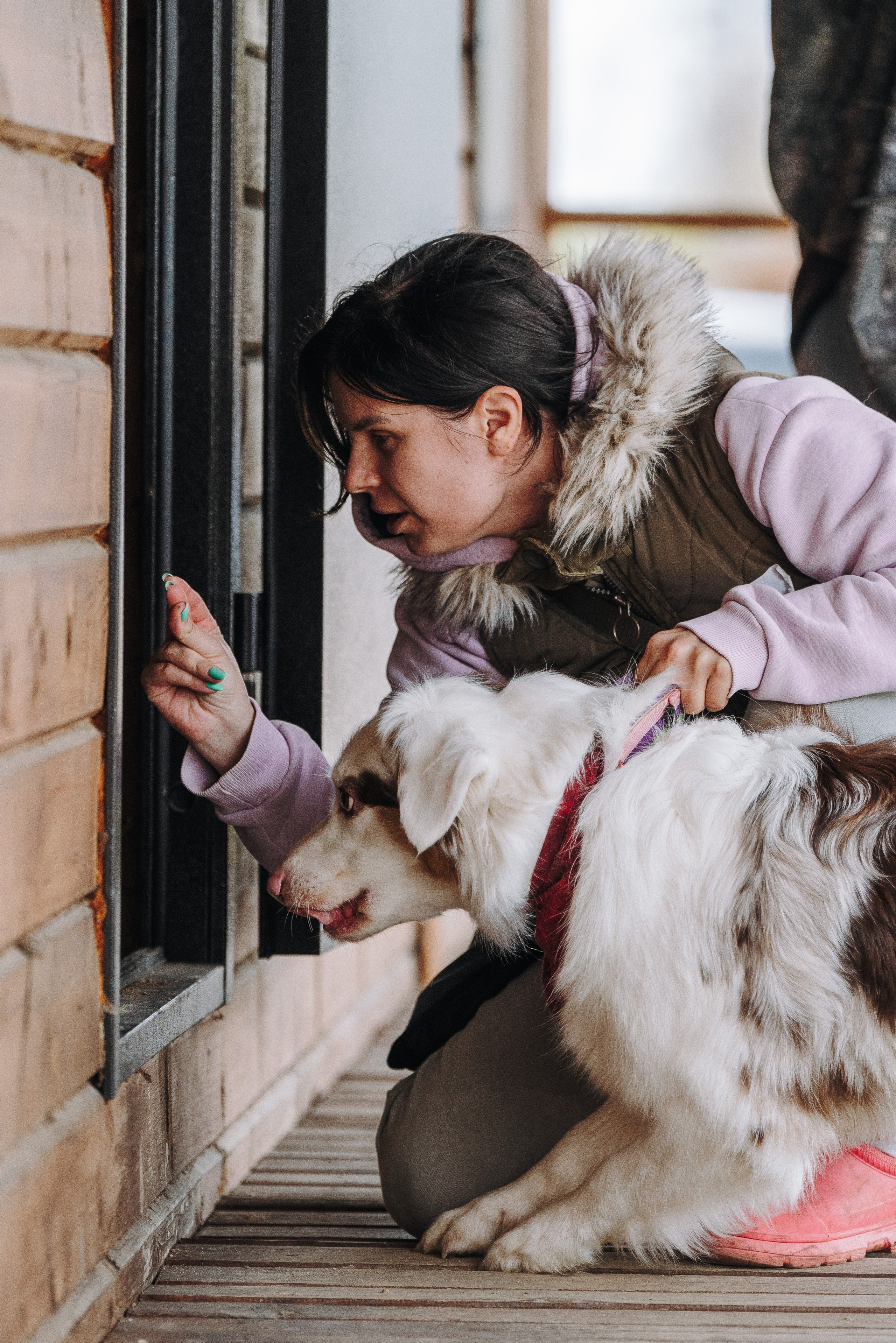 Соревнования по ноузворку в Лосево. Фотограф анималист в Спб недорого Олеся Майорова