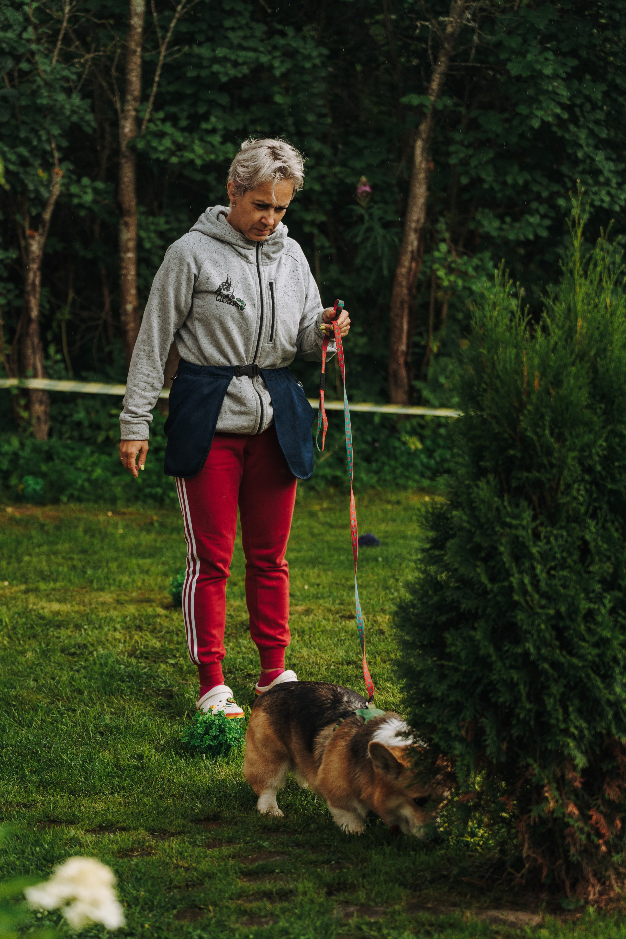 Соревнования по ноузворку в Новожилово. Фотограф анималист в Спб недорого Олеся Майорова