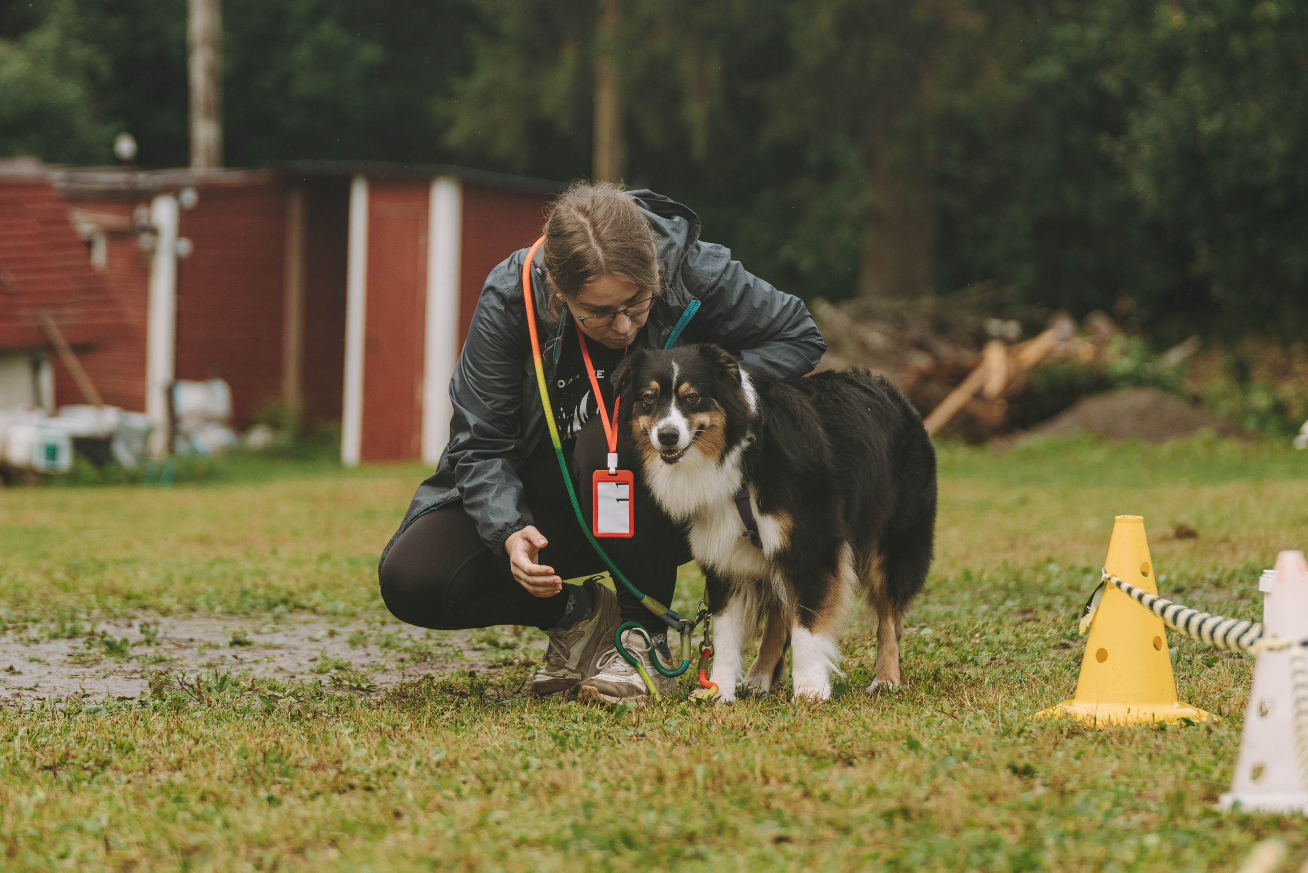 Соревнования по ноузворку в Новожилово. Фотограф анималист в Спб недорого Олеся Майорова