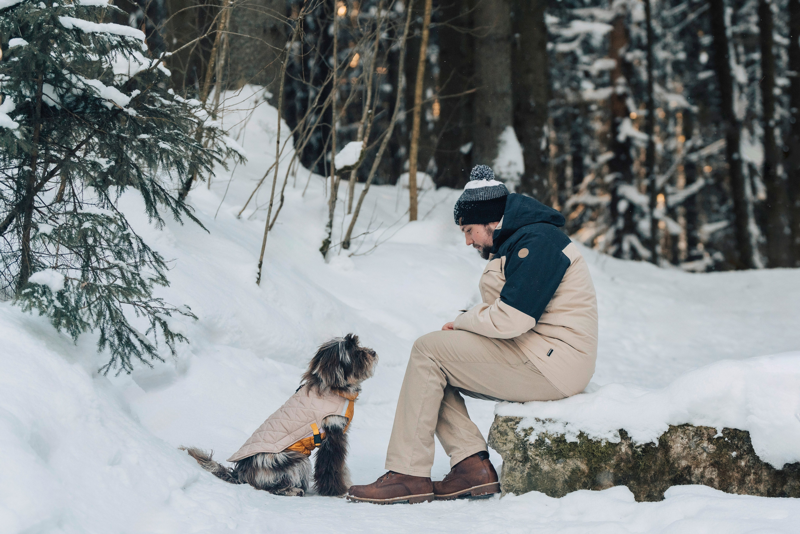 Хэйзел и её семья. Фотограф анималист в Спб недорого Олеся Майорова