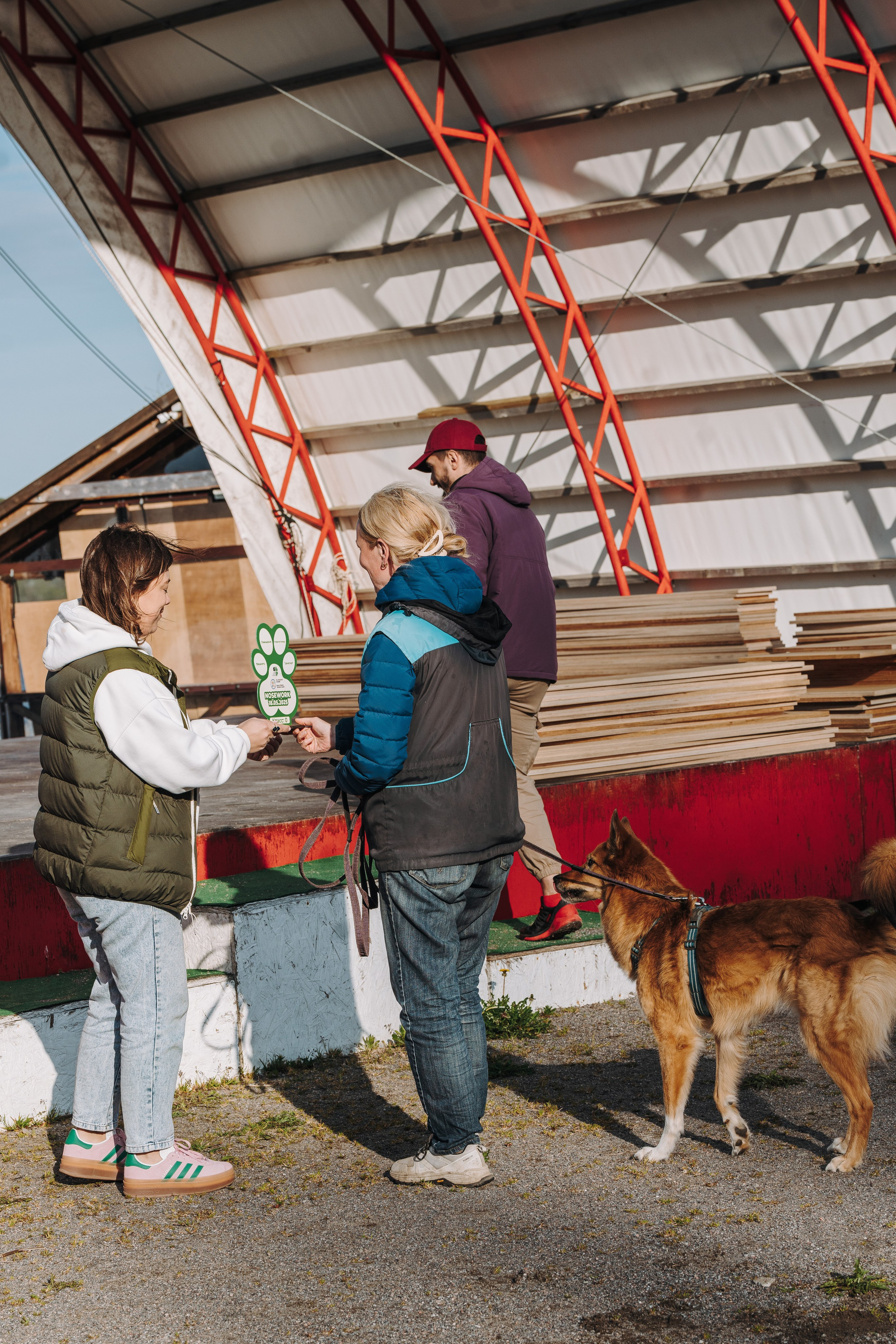 Соревнования по ноузворку в Лосево. Фотограф анималист в Спб недорого Олеся Майорова
