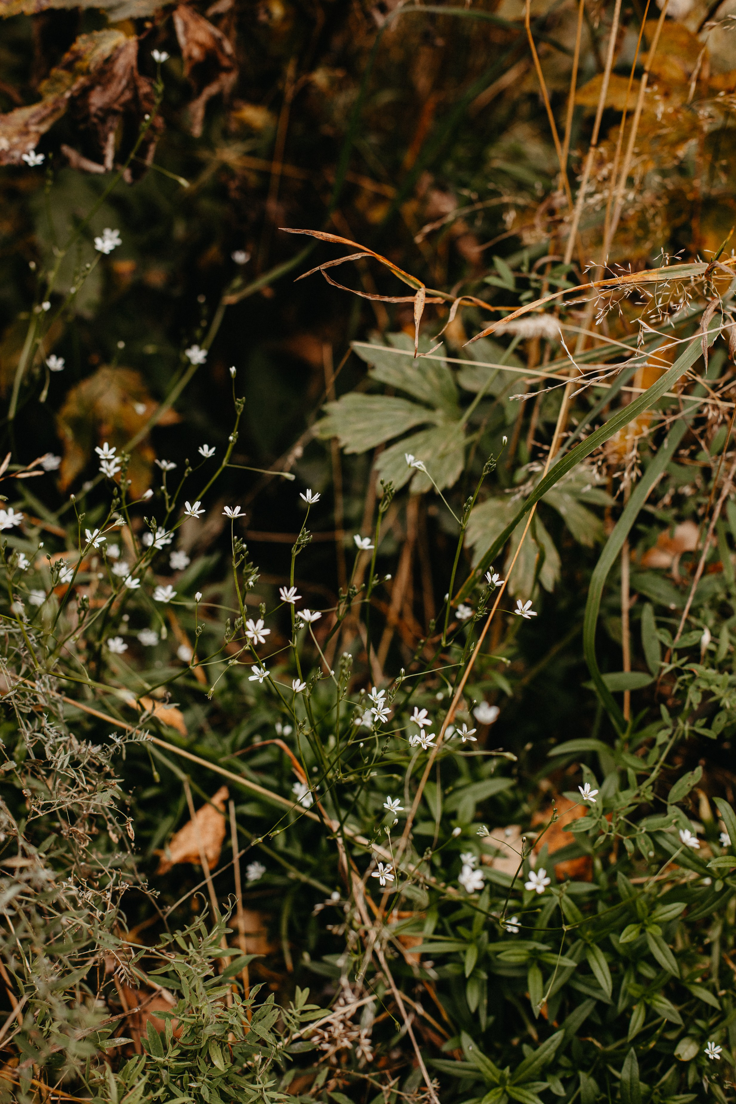 Семь Братьев. Семейный фотограф Трусова Евгения в Екатеринбурге