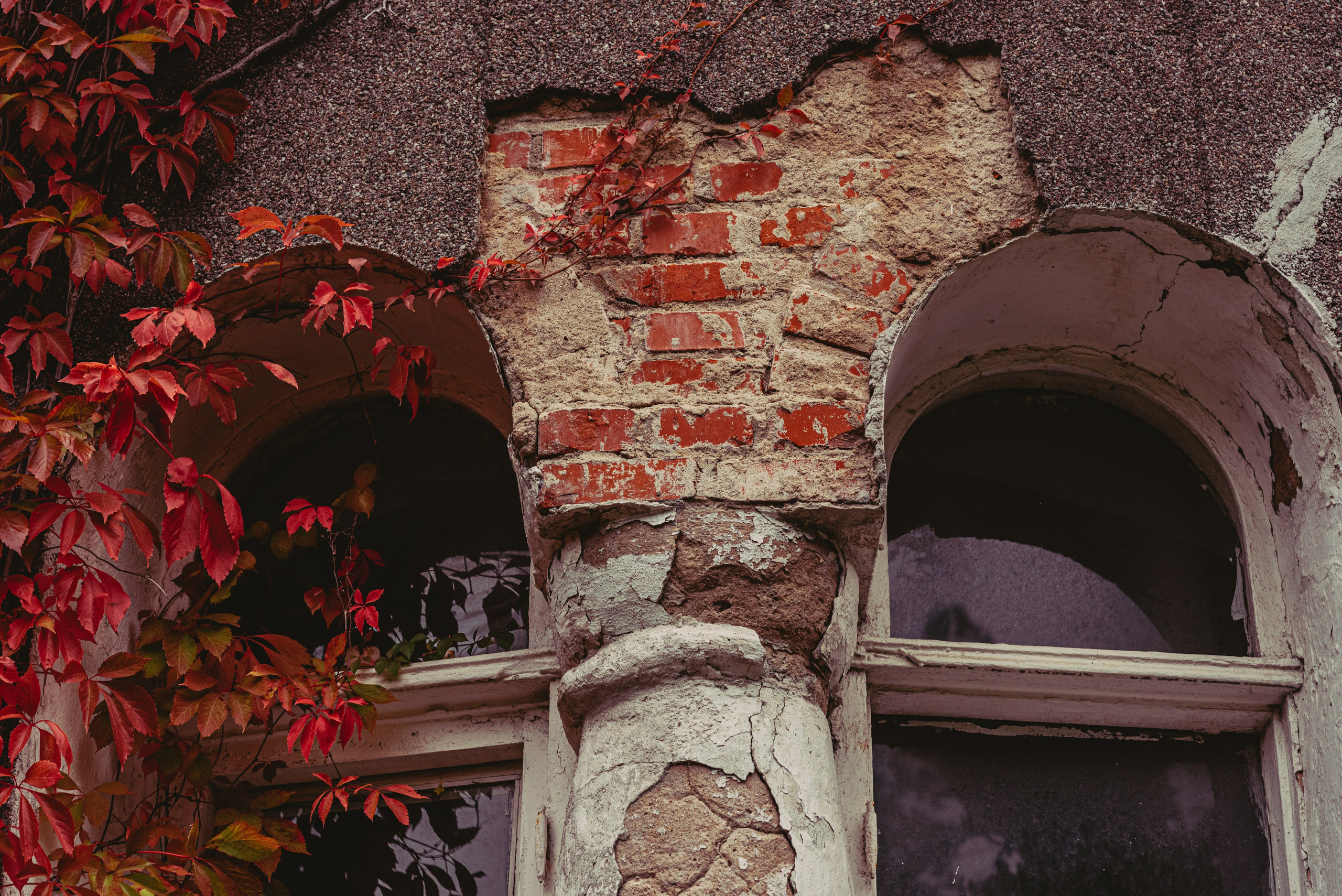 Калининград и его область: через объектив рекламного фотографа из Гуанчжо. Коммерческий и предметный фотограф в Гуанчжоу Коваленко Александр