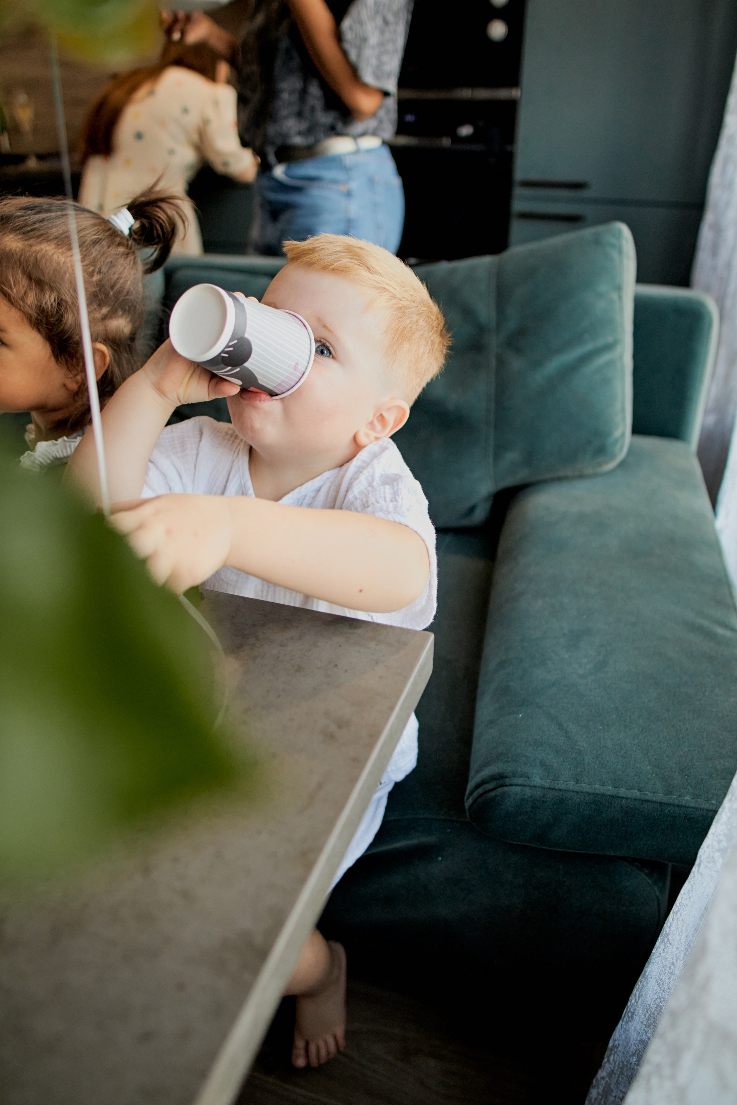 Три кота. Фотограф Москва