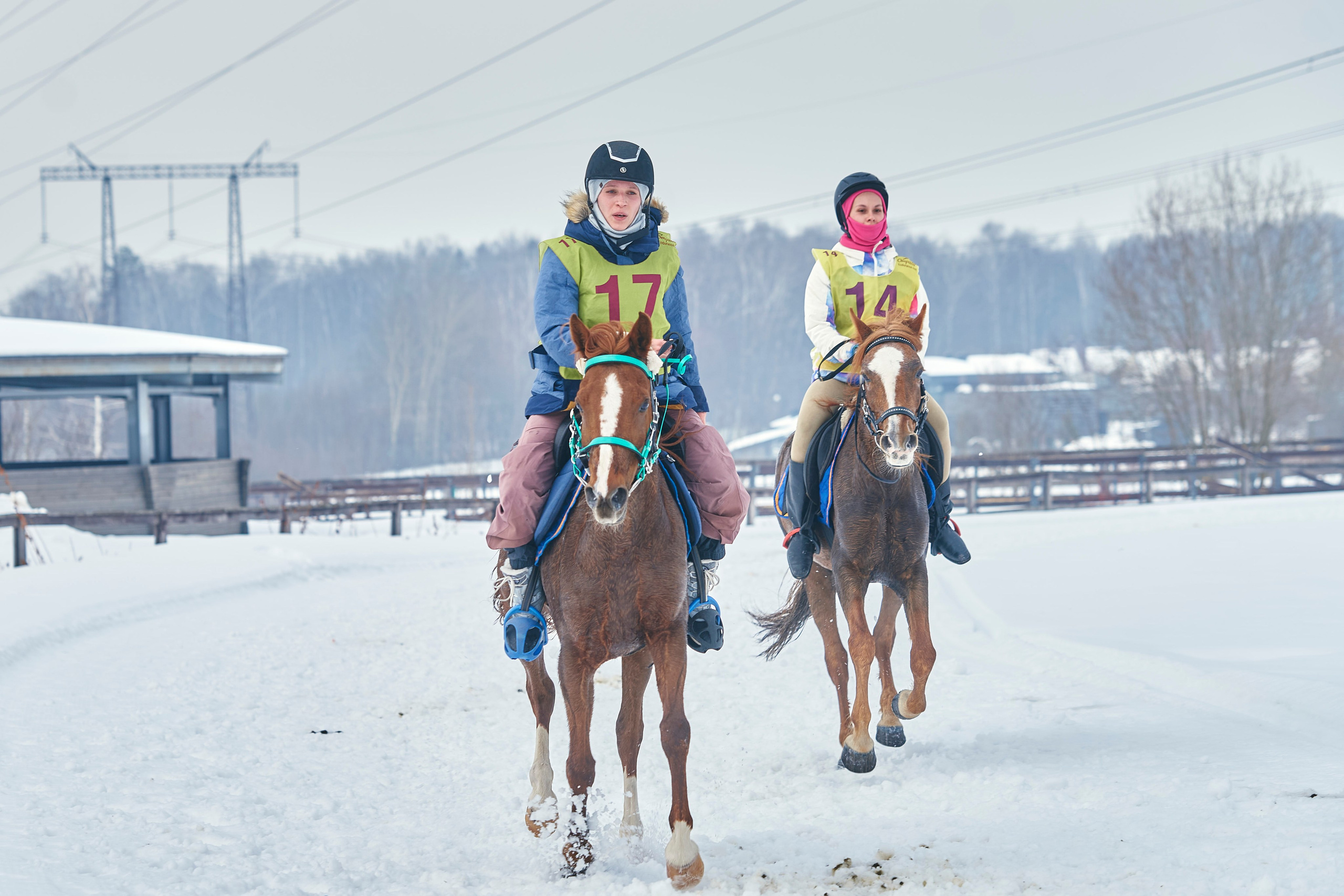 HORSE RACING. Фотограф Наталья Леонова