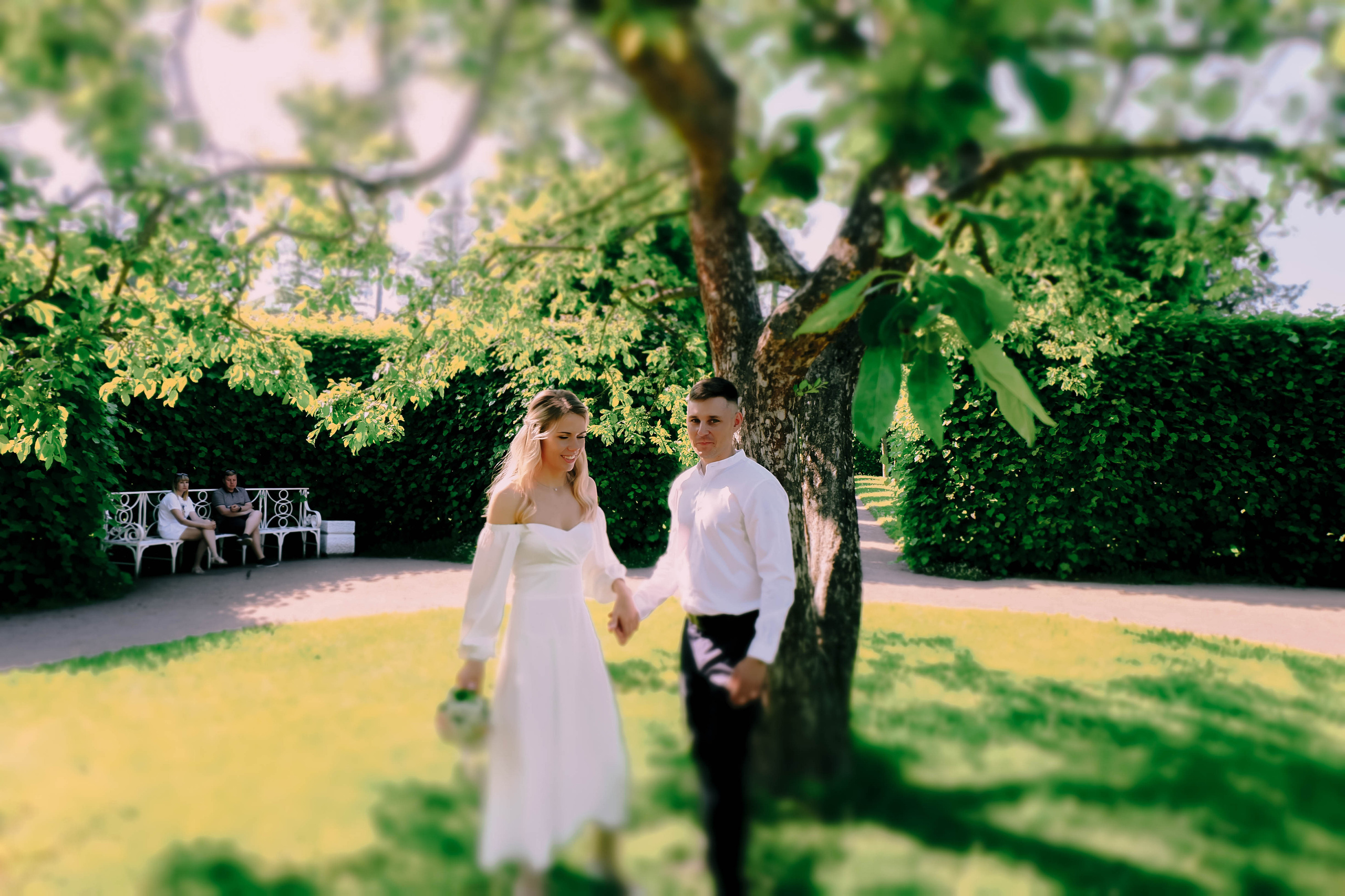 Александр и Дарья. Свадебный фотограф Анастасия