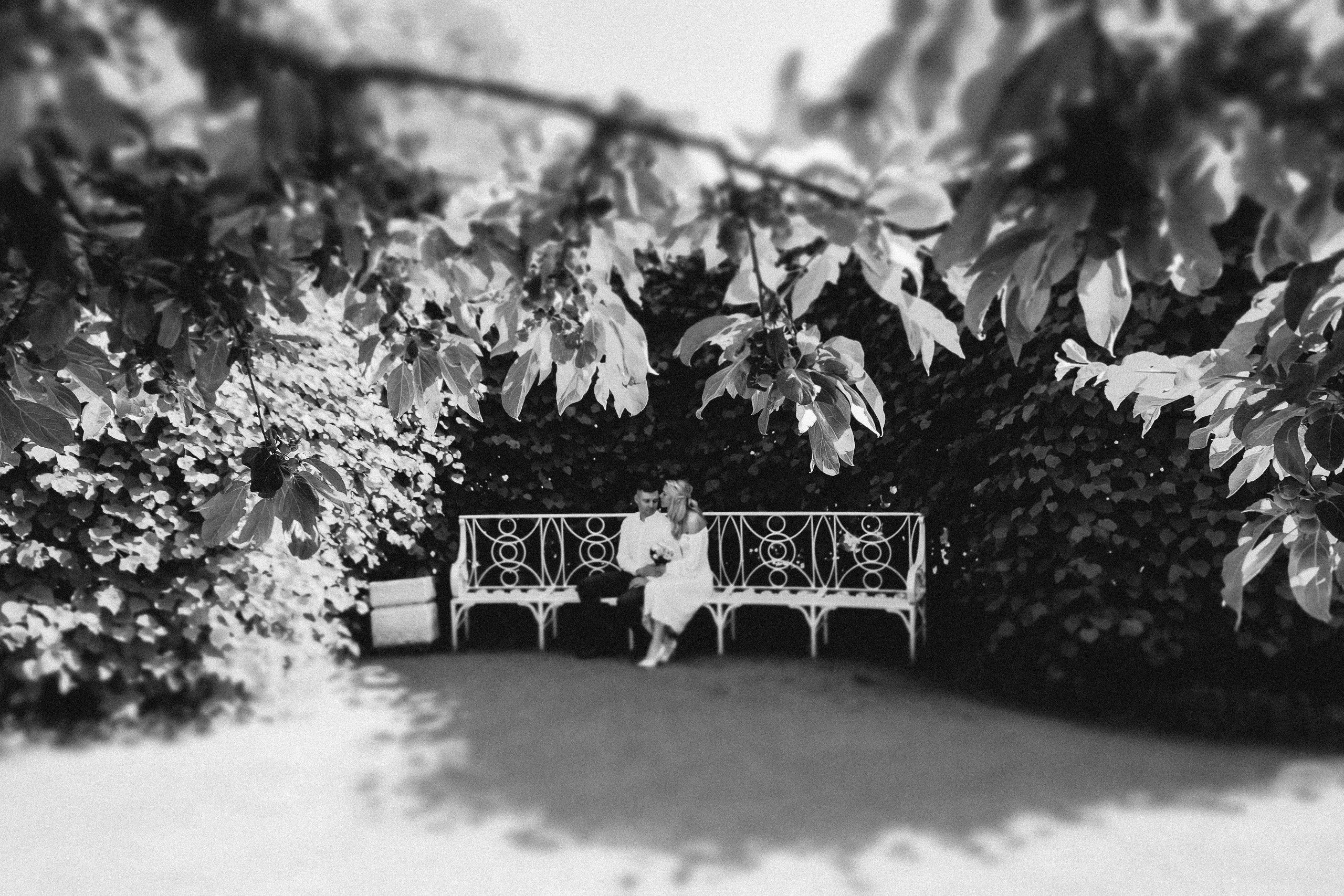 Александр и Дарья. Свадебный фотограф Анастасия