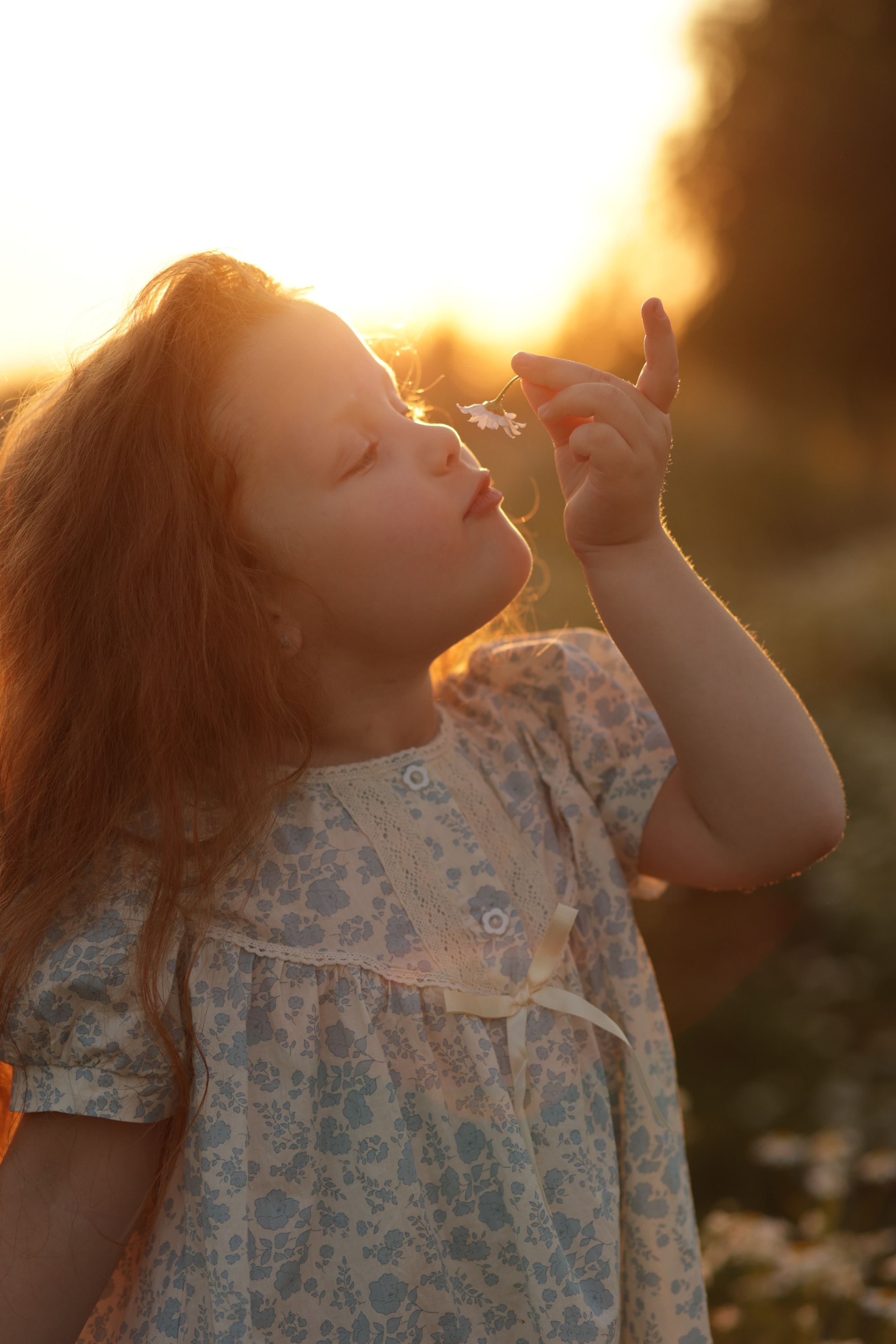 Девчонки в ромашках. Семейный фотограф в Саратове Юлия Охотникова