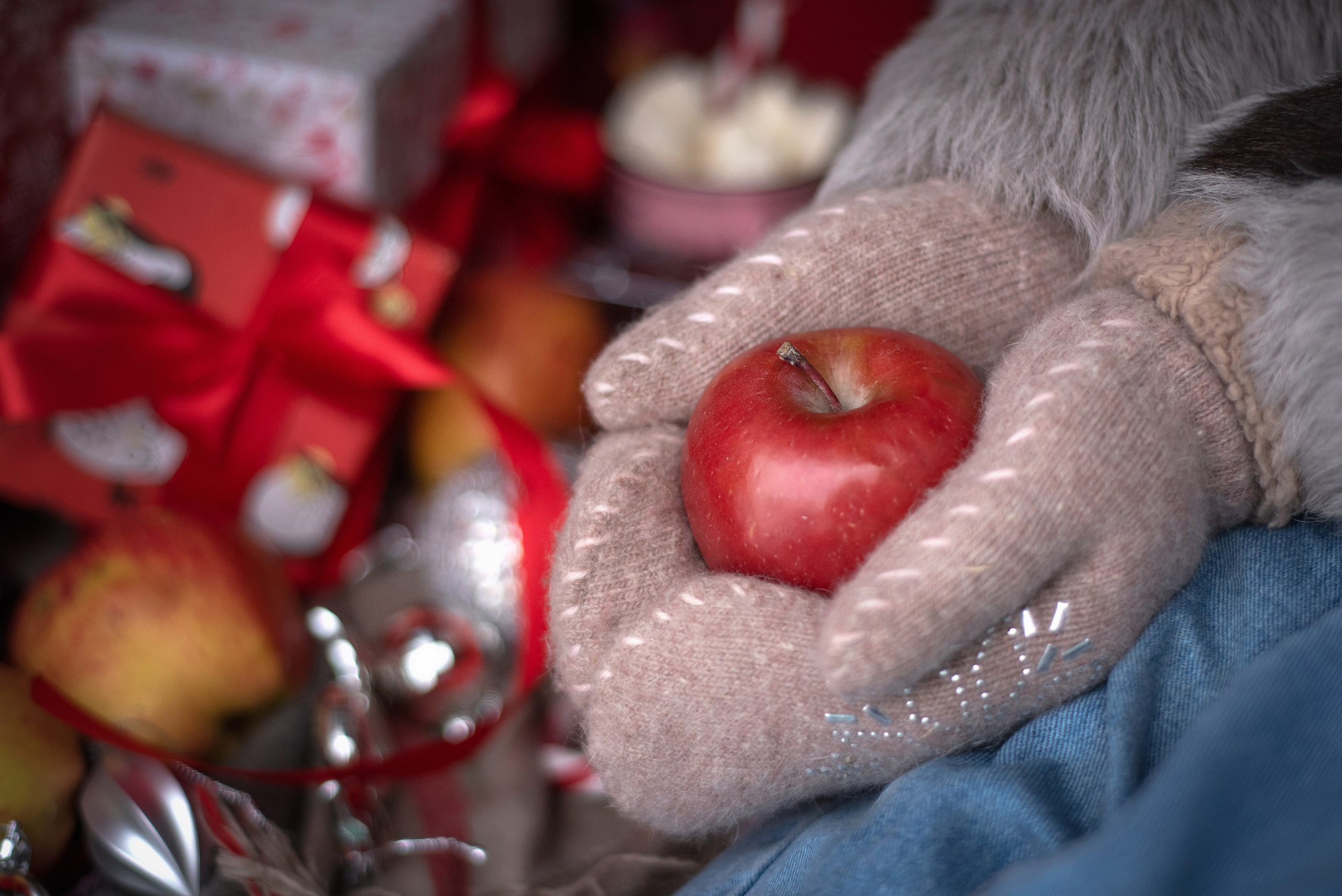 Новогодняя история. Фотограф анималист в Казани Алина Сулейманова. Фотограф животных