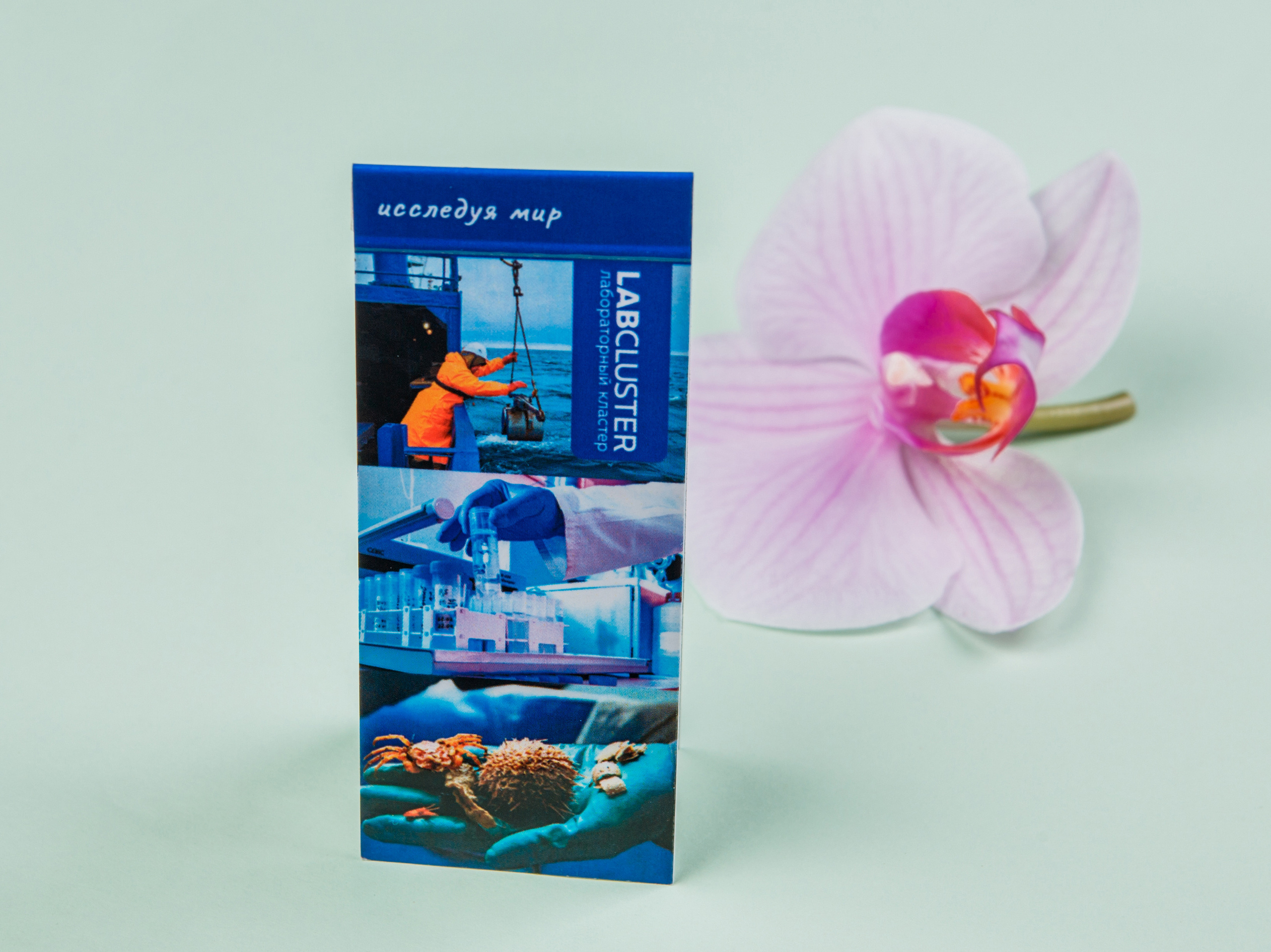 Типография Алес. Предметный и семейный фотограф в Санкт-Петербурге Катерина Стеклова